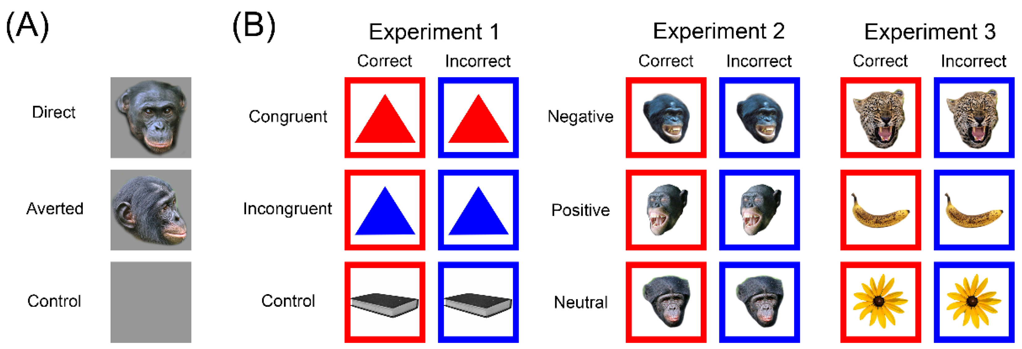 Animals | Free Full-Text | Evaluating Self-Directed Behaviours and Their  Association with Emotional Arousal across Two Cognitive Tasks in Bonobos  (Pan paniscus)