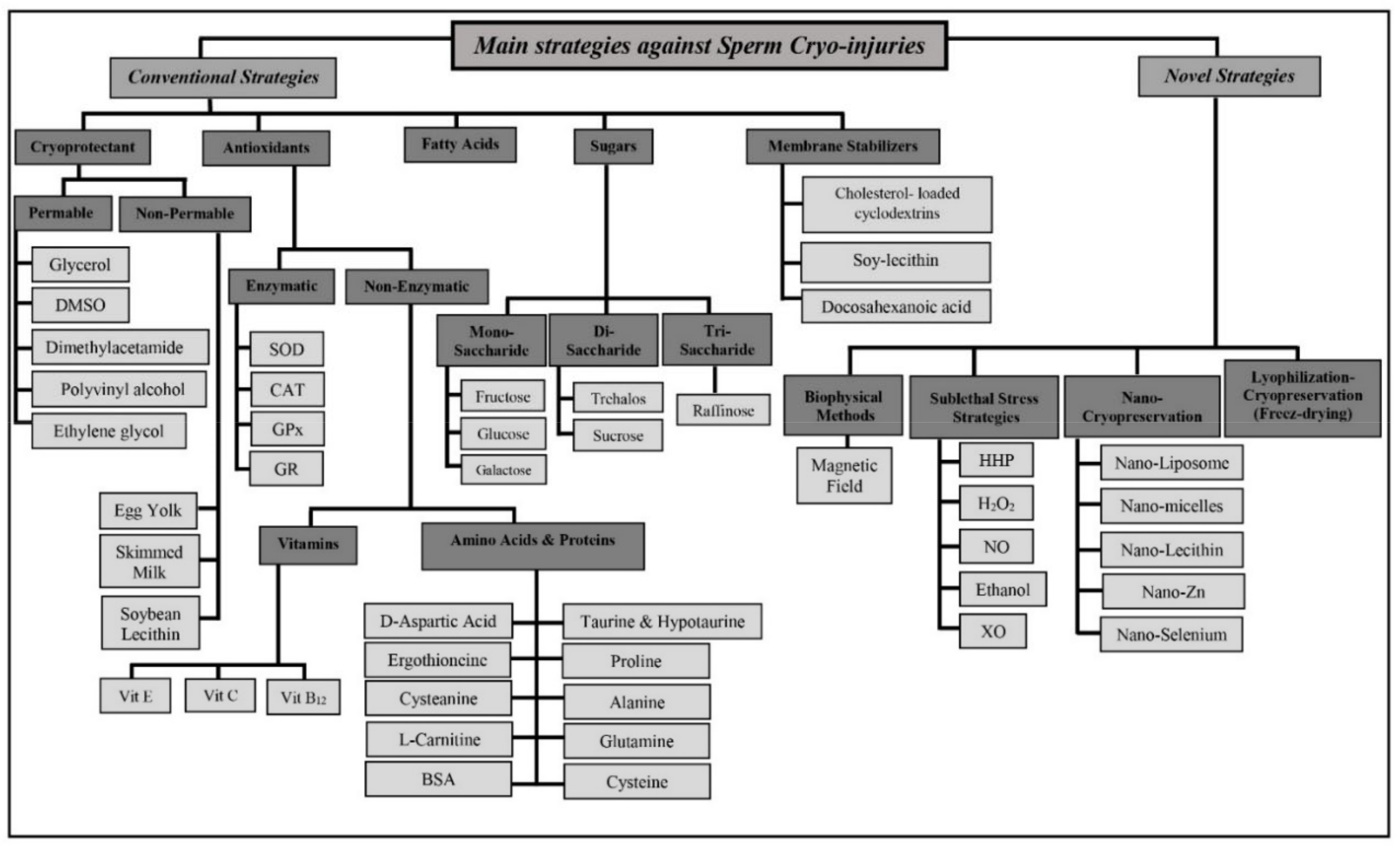 Animals | Free Full-Text | Cryopreservation of Semen in Domestic Animals: A  Review of Current Challenges, Applications, and Prospective Strategies