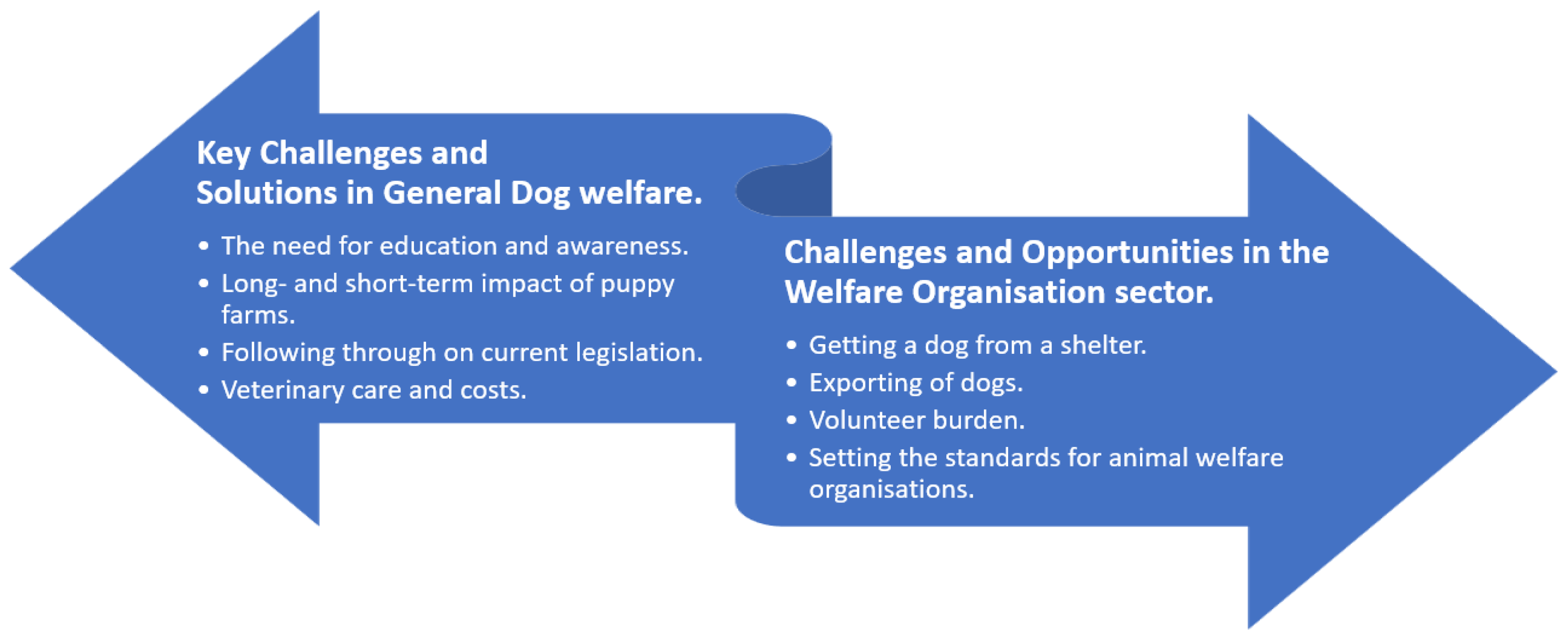 Animals | Free Full-Text | A Qualitative Exploration of Challenges and  Opportunities for Dog Welfare in Ireland Post COVID-19, as Perceived by Dog  Welfare Organisations