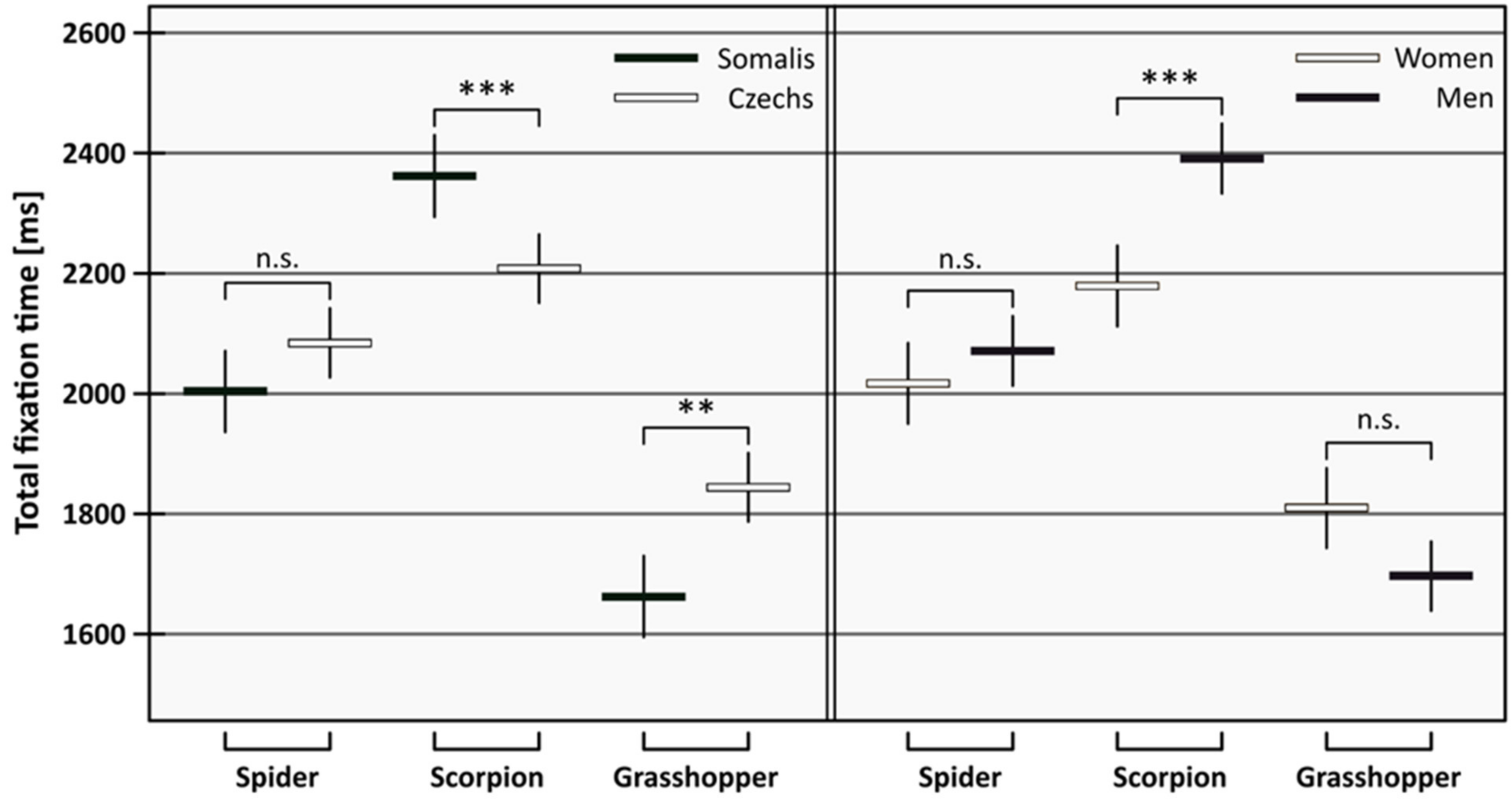 Animals | Free Full-Text | Do Spiders Ride on the Fear of Scorpions? A