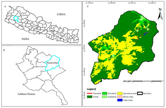 Animals | Free Full-Text | Determinants of Herpetofaunal Diversity in a ...