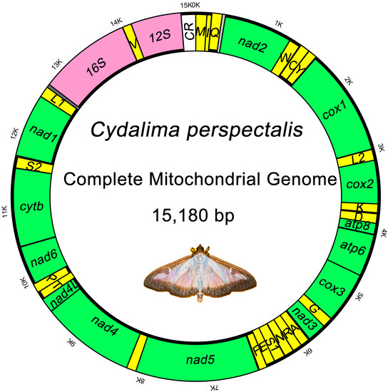 Animals | Free Full-Text | The Complete Mitochondrial Genome of