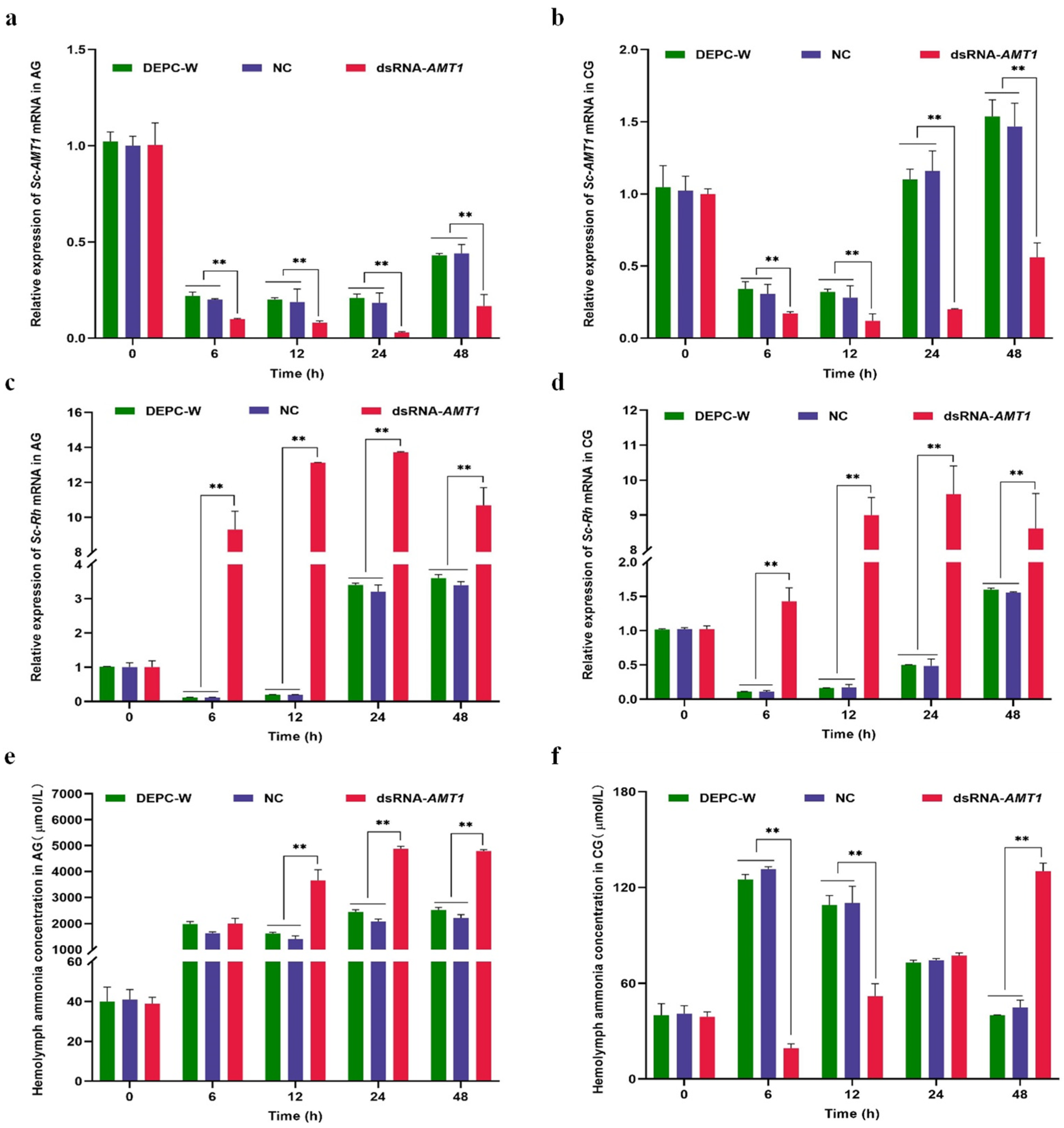 Animals | Free Full-Text | Expression and Functional Analysis of AMT1 ...