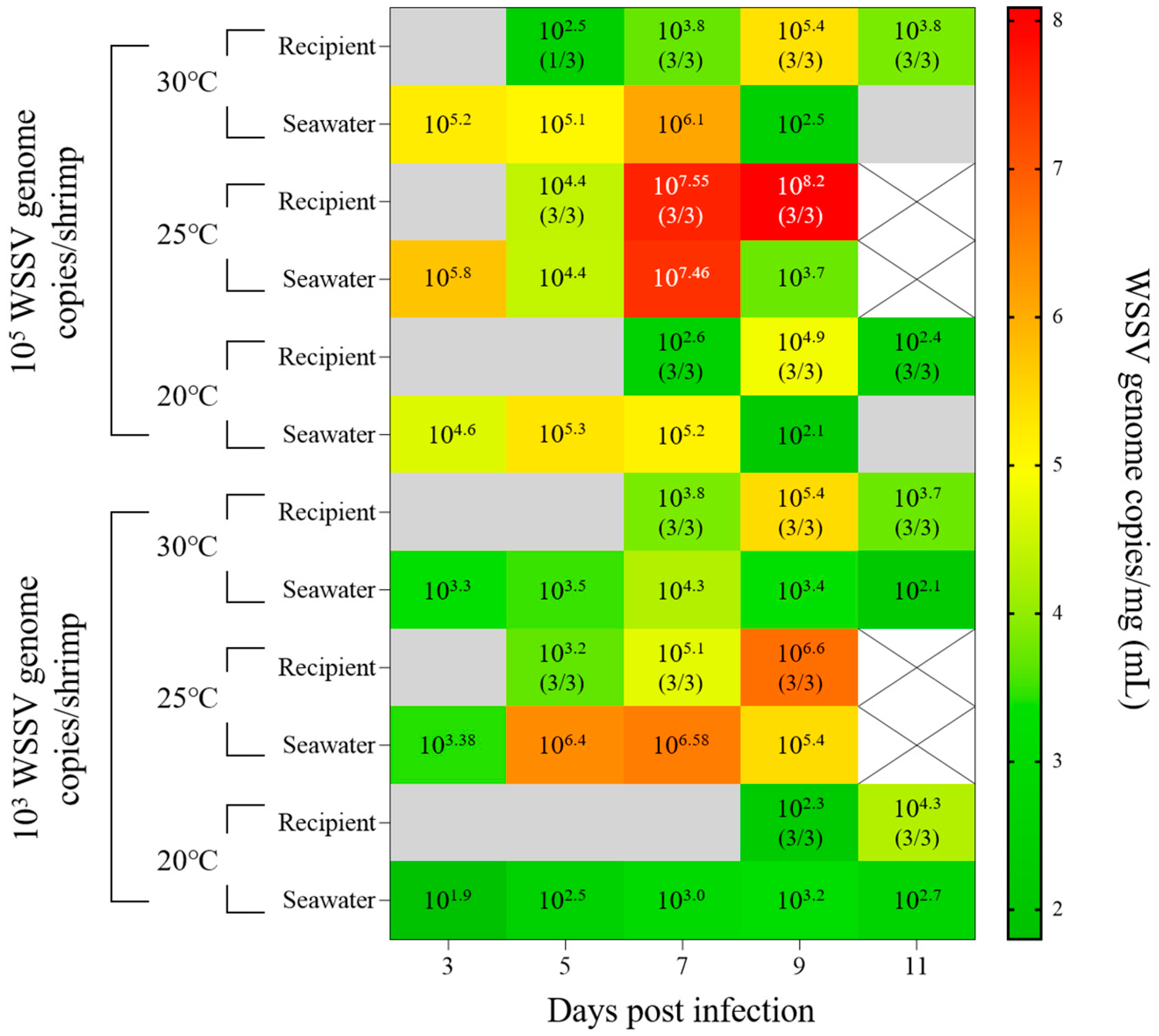 animals-free-full-text-evaluation-of-the-horizontal-transmission-of