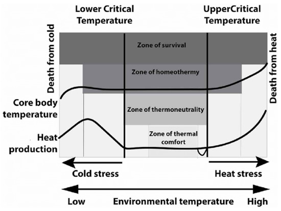 Animals | Free Full-Text | Air Quality Assessment in Pig Farming: The ...