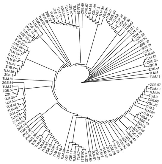 Animals | Free Full-Text | Analysis of Genetic Diversity and Population ...