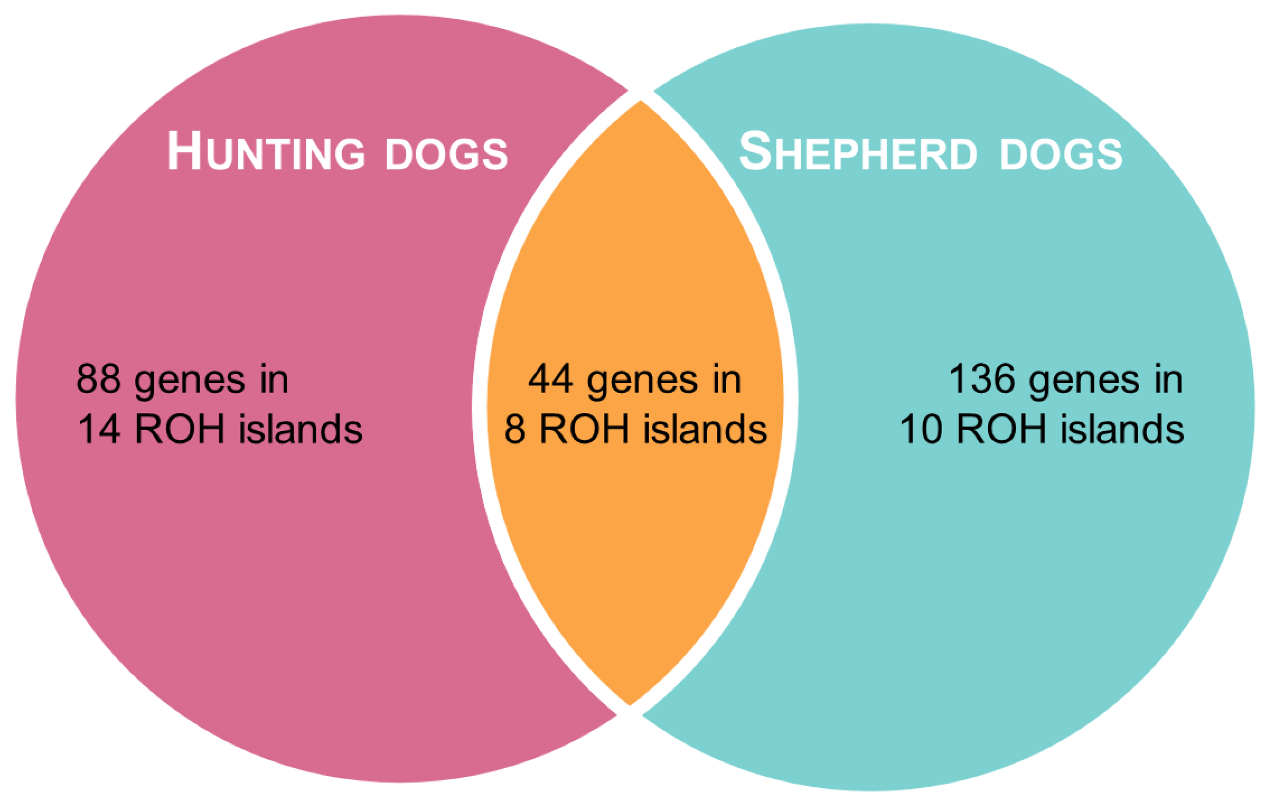 animals-free-full-text-the-shepherd-and-the-hunter-a-genomic