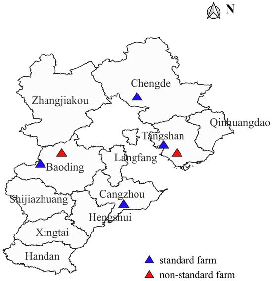 Identification, Typing, and Drug Resistance Analysis of Escherichia coli in Two Different Types of Broiler Farms in Hebei Province