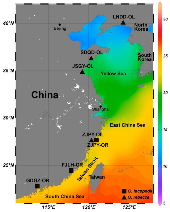 オリーブ38サイズ Climate Adaptation and Drift Shape the Genomes of Two Eel