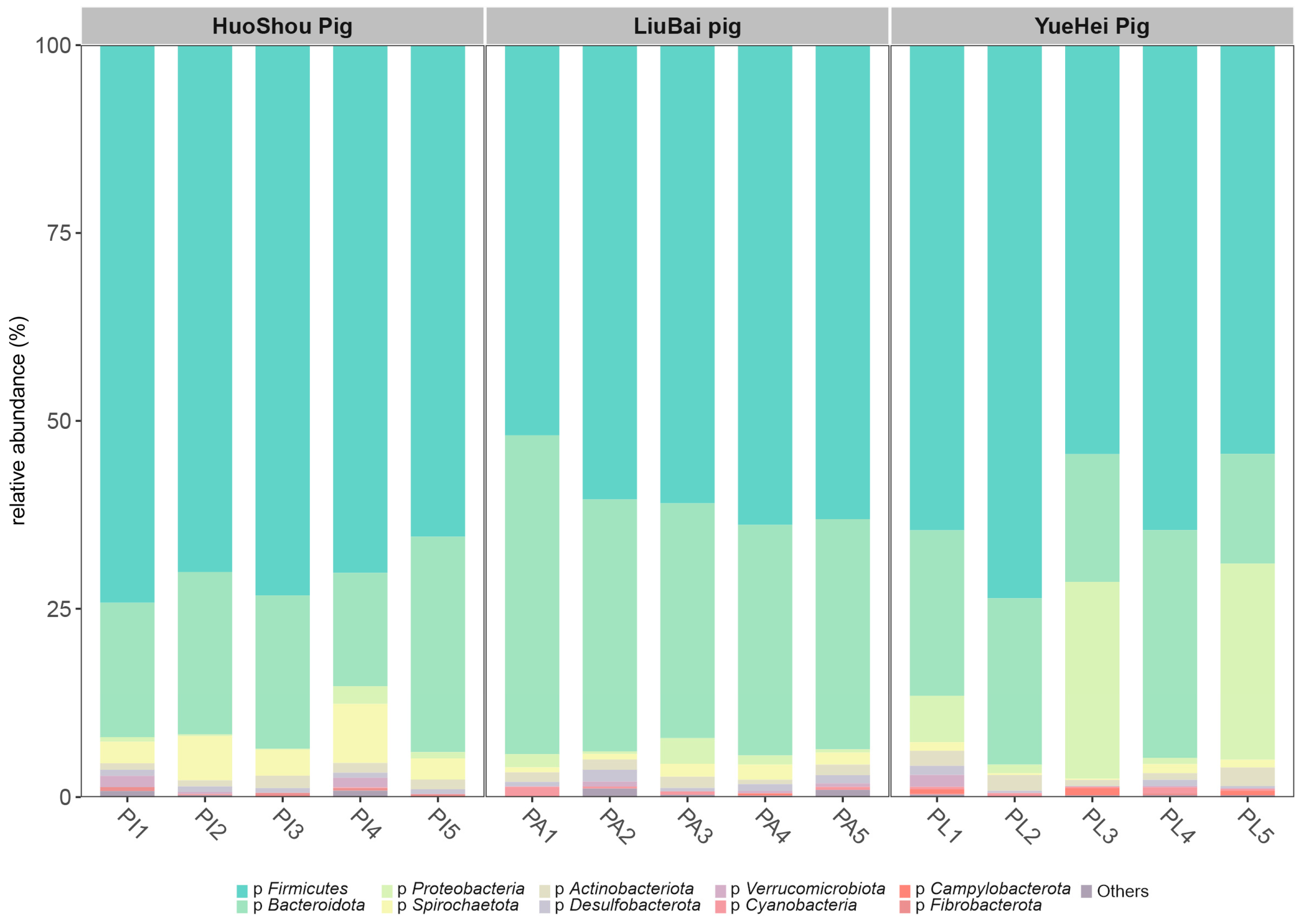 A collection of bacterial isolates from the pig intestine reveals