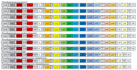 Animals | Free Full-Text | Comprehensive Analysis of Phylogenetic ...