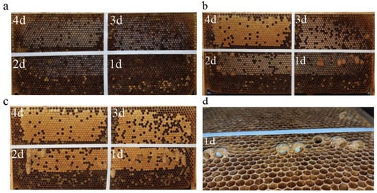 The Honey Bee Colony’s Criterion for Candidate Selection: “Ongoing” or ...