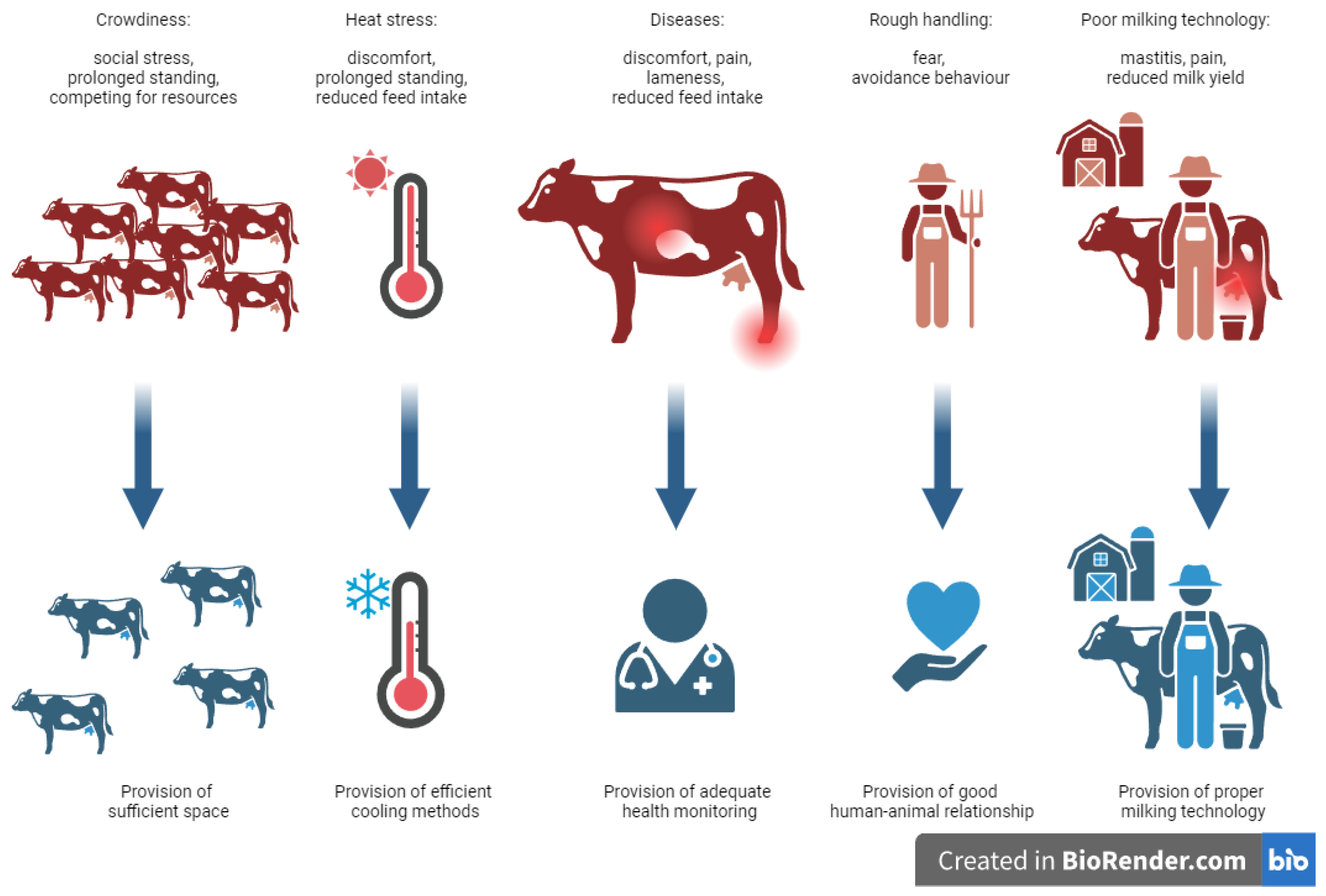 Animals | Free Full-Text | A Review of the Effects of Stress on Dairy  Cattle Behaviour