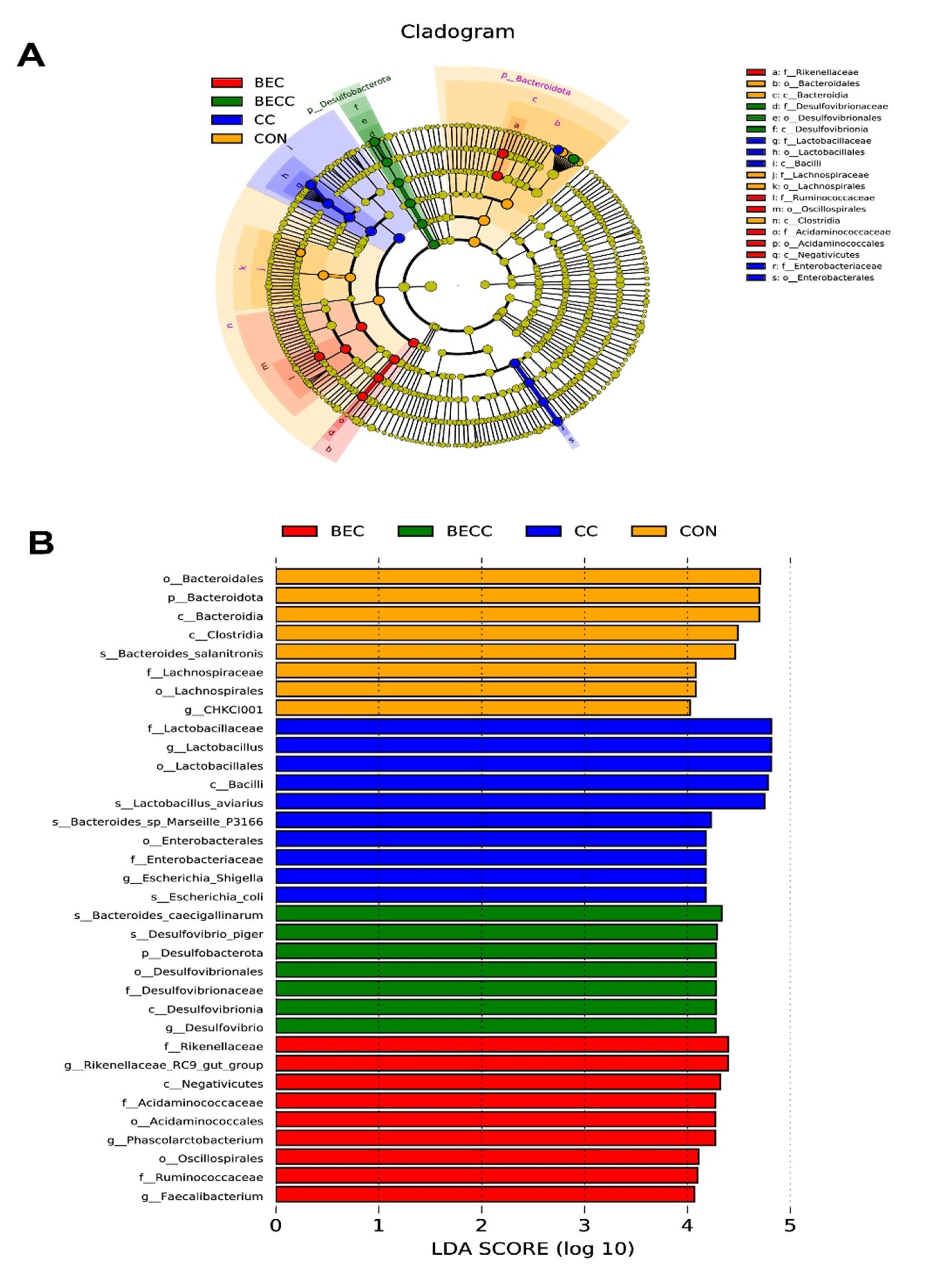 Benzoic Acid, Enterococcus faecium, and Essential Oil Complexes Improve ...