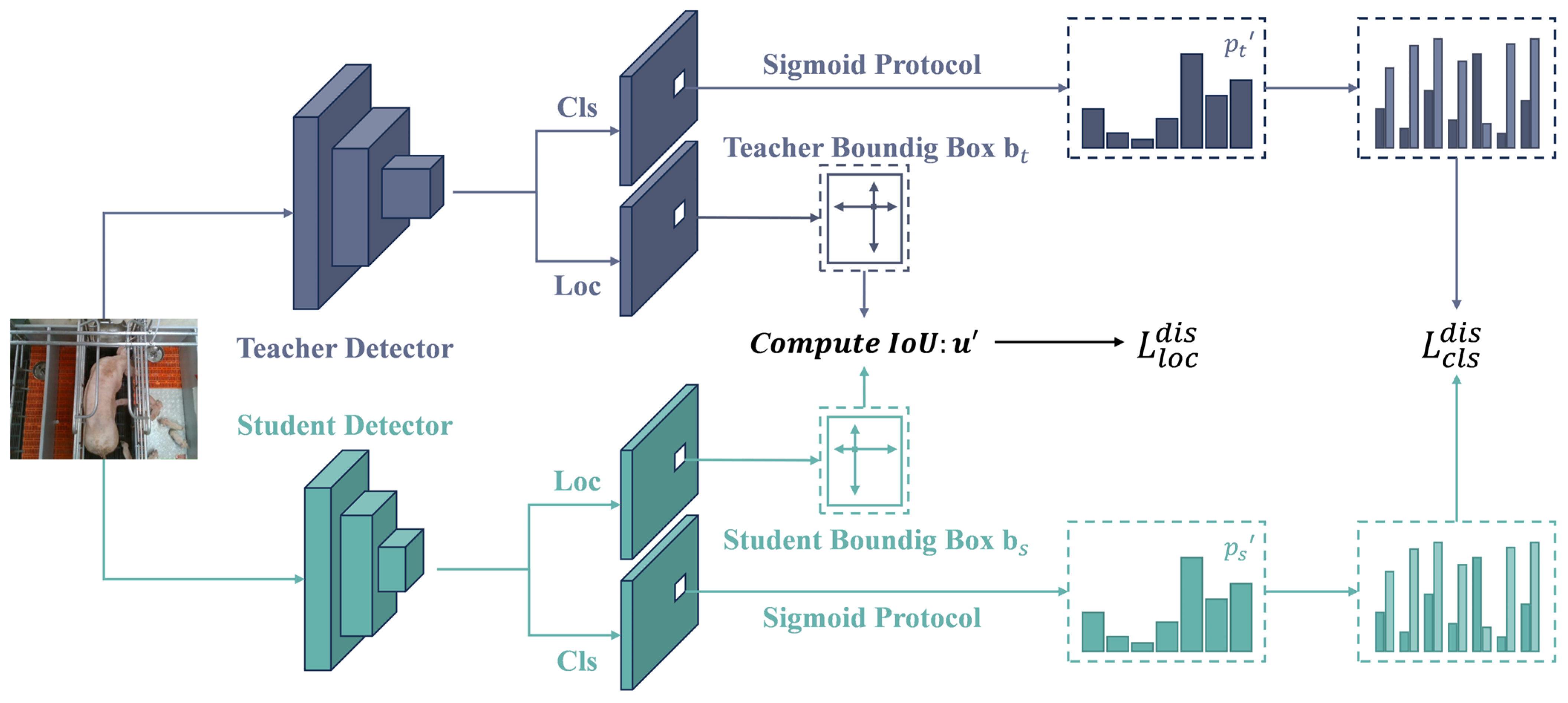 Collaborative Optimization of Model Pruning and Knowledge