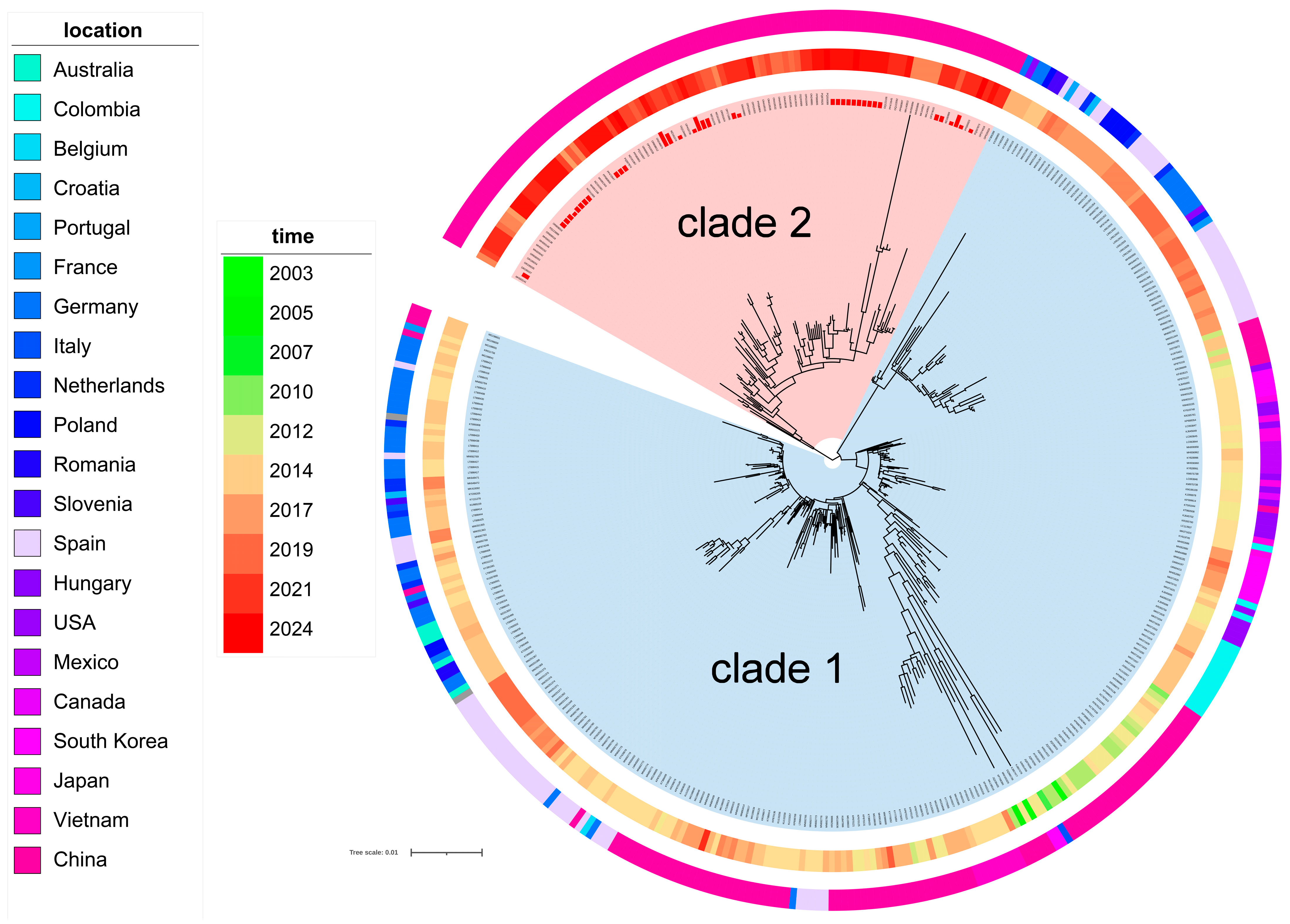 Clade-Specific Recombination and Mutations Define the Emergence of ...