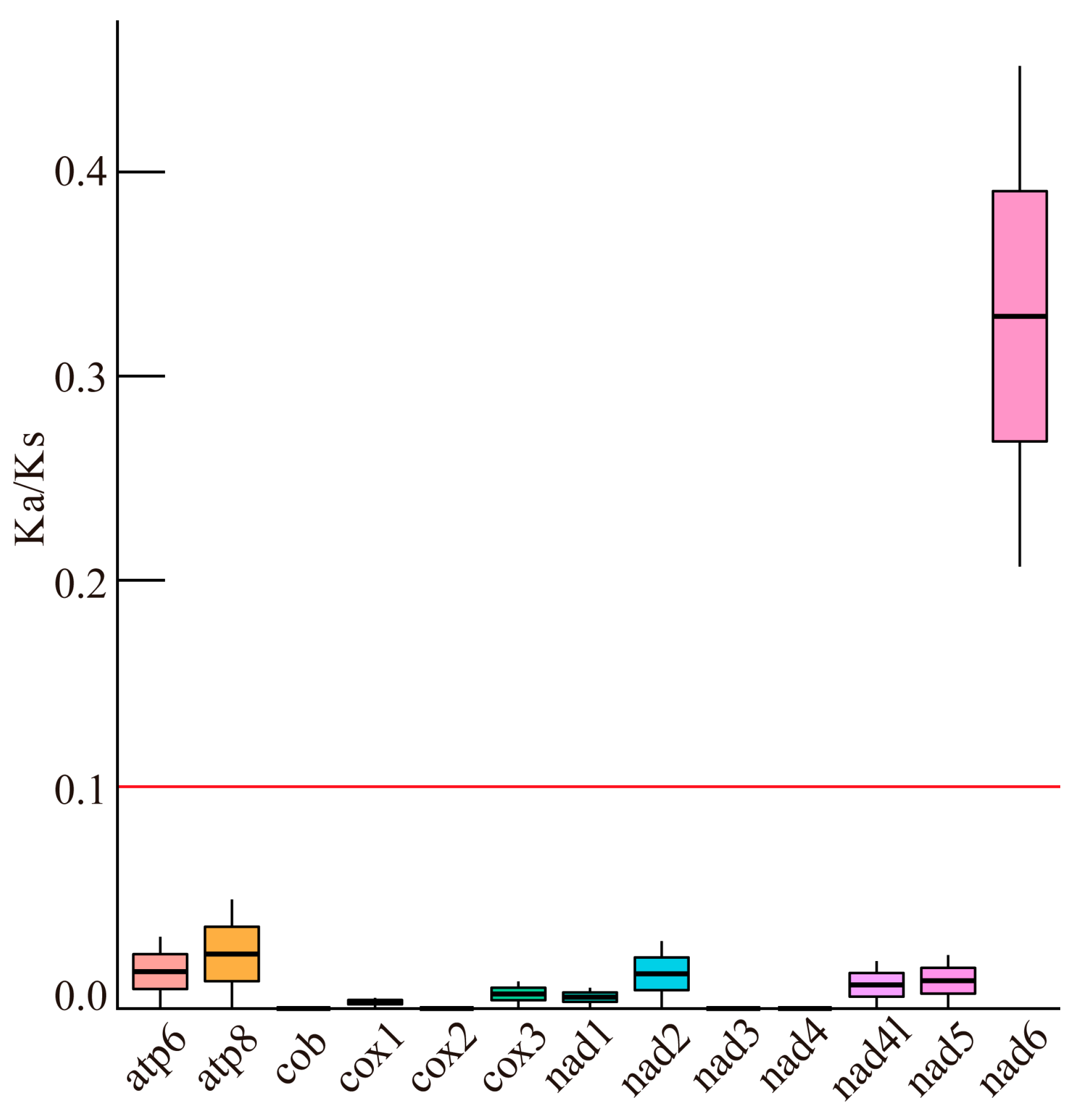 Comparative Analysis of Embryonic Development and Mitochondrial Genome ...