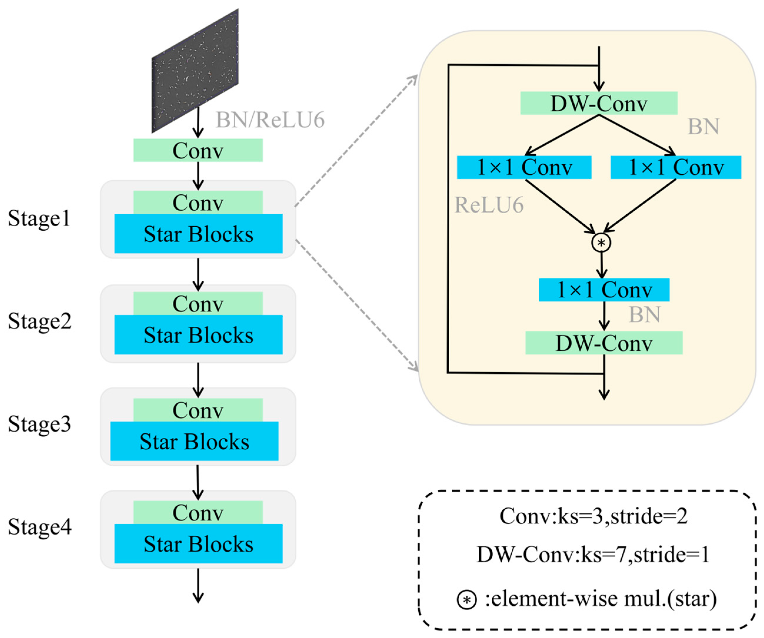 A Novel Lightweight Deep Learning Model for Boar Sperm Head Detection ...
