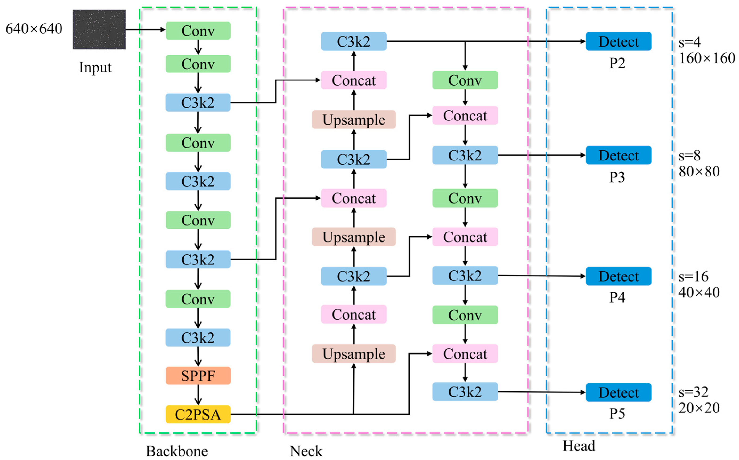 A Novel Lightweight Deep Learning Model for Boar Sperm Head Detection ...