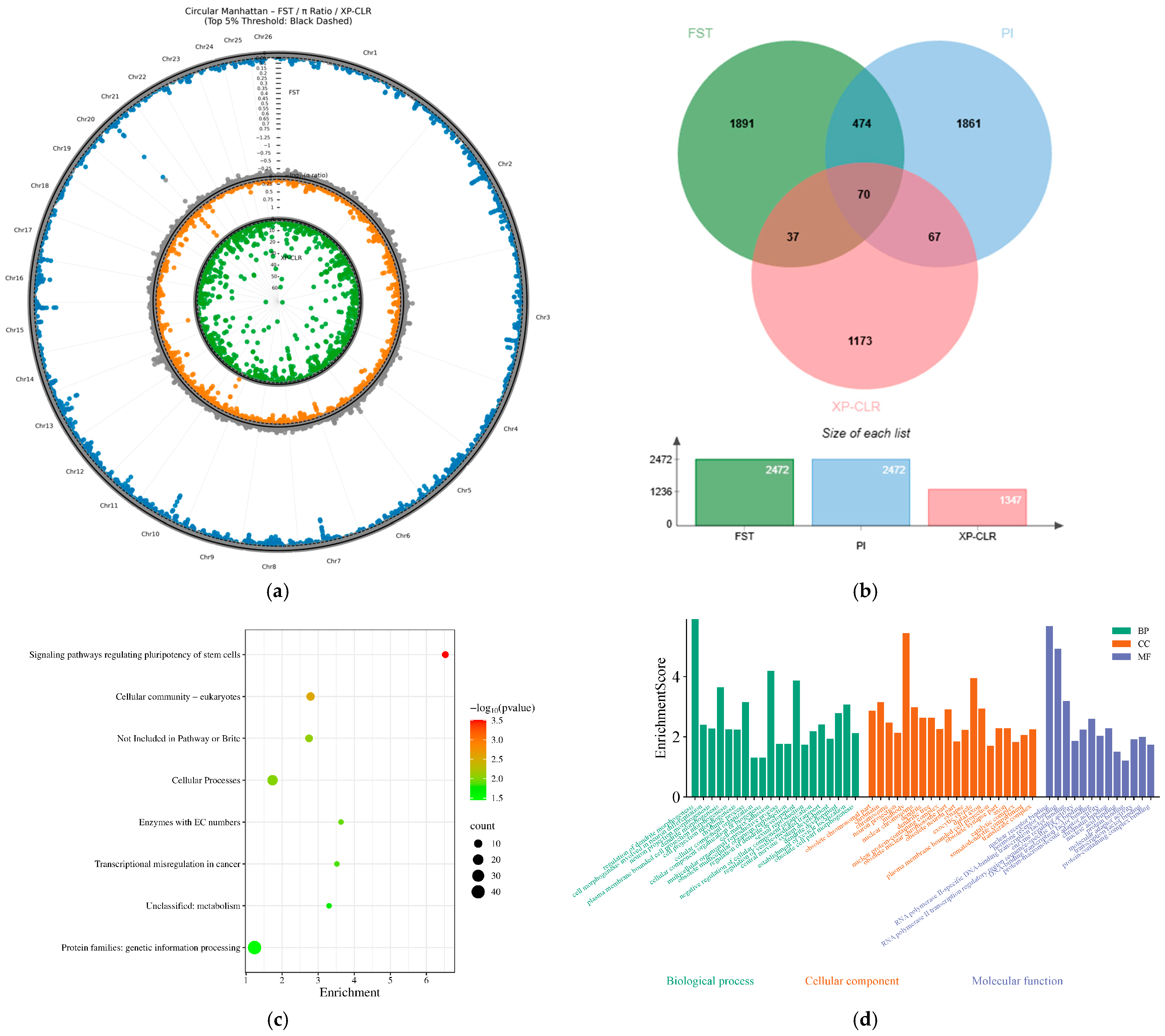 Genetic Structure and Selective Signature Analysis of Xinjiang Local ...
