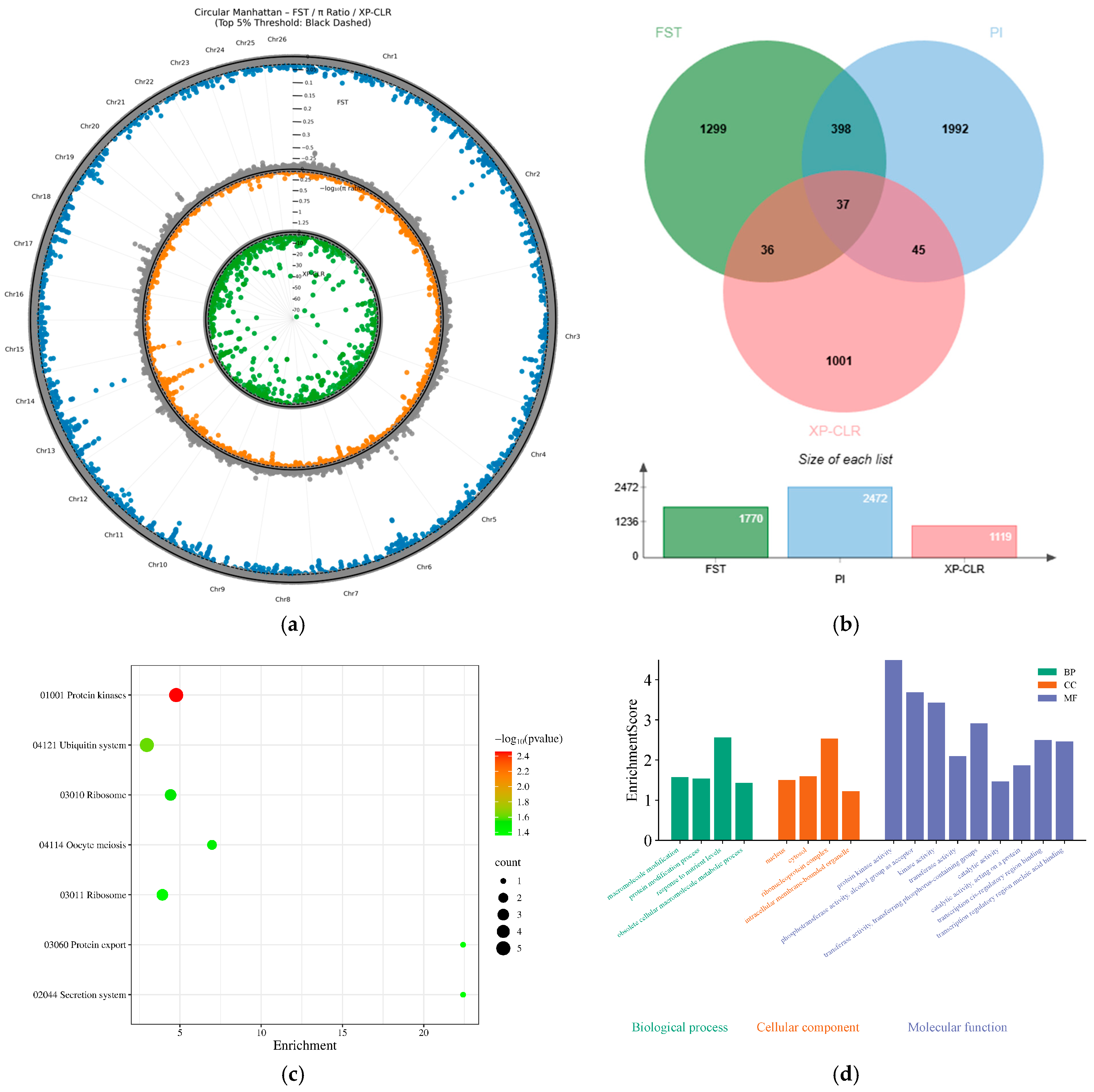 Genetic Structure and Selective Signature Analysis of Xinjiang Local ...