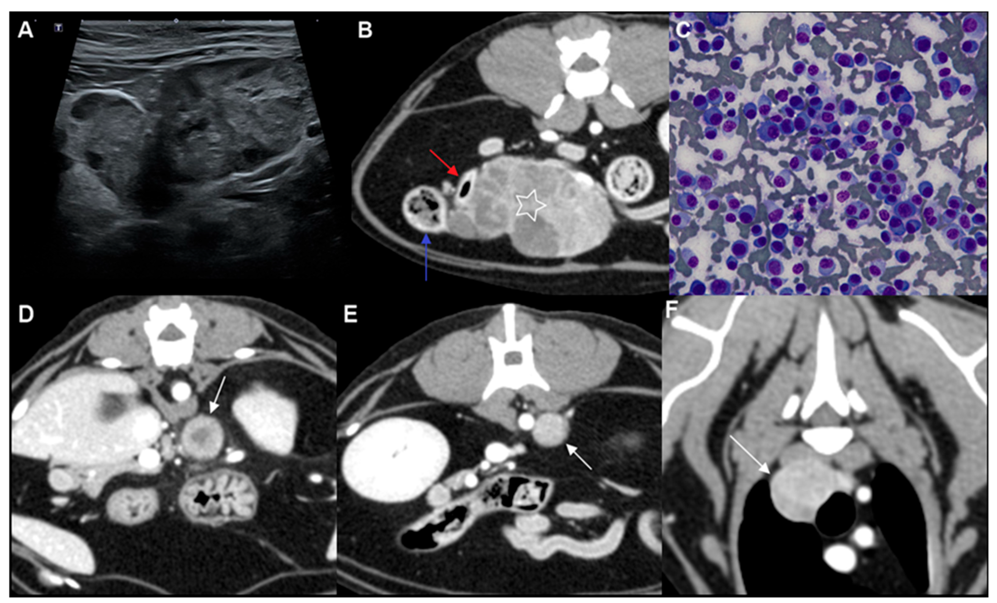Multicentric Round Cell Neoplasia with Plasmacytic Differentiation in a ...