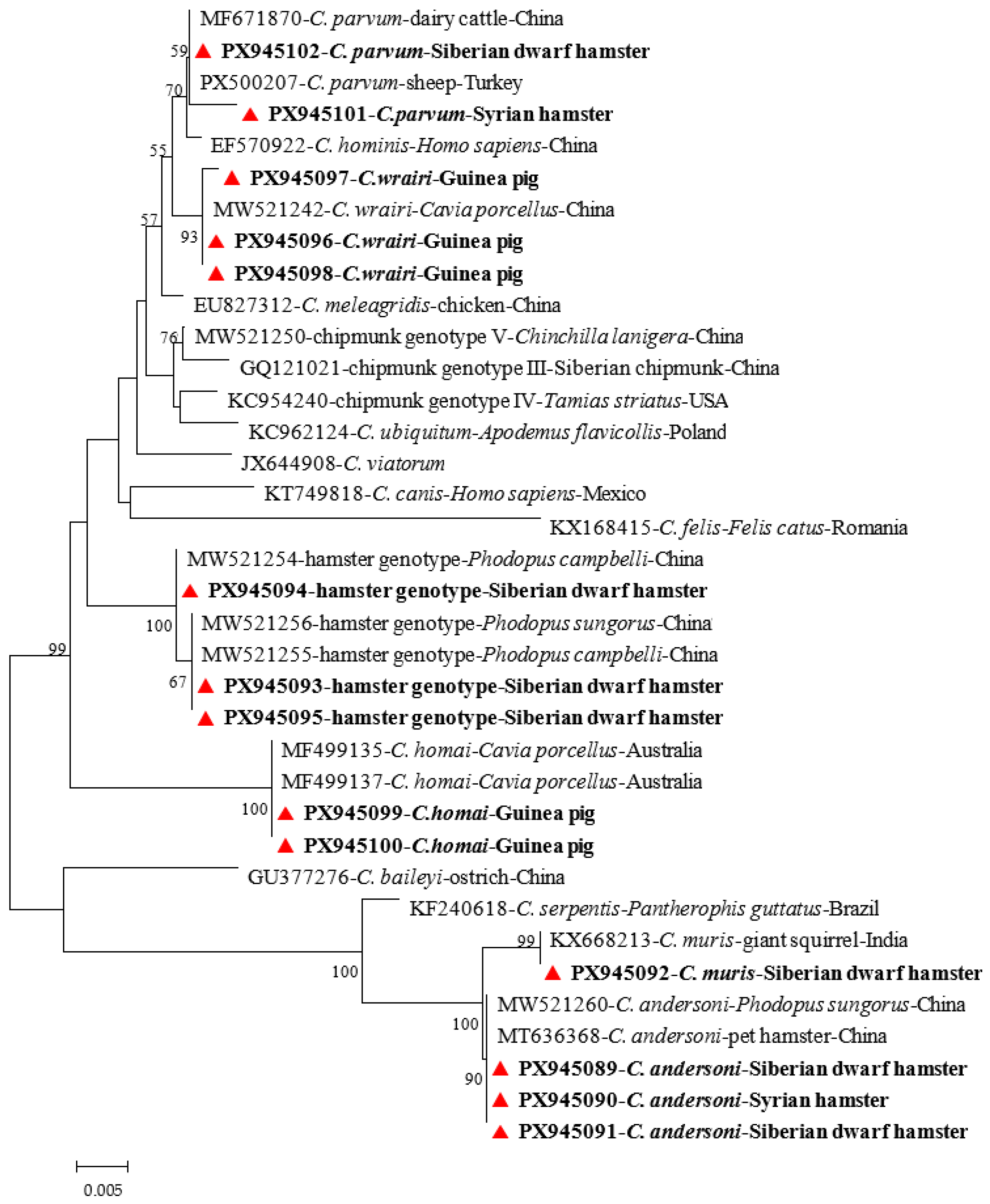 Occurrence and Genetic Diversity of Cryptosporidium spp. in Pet Rodents ...
