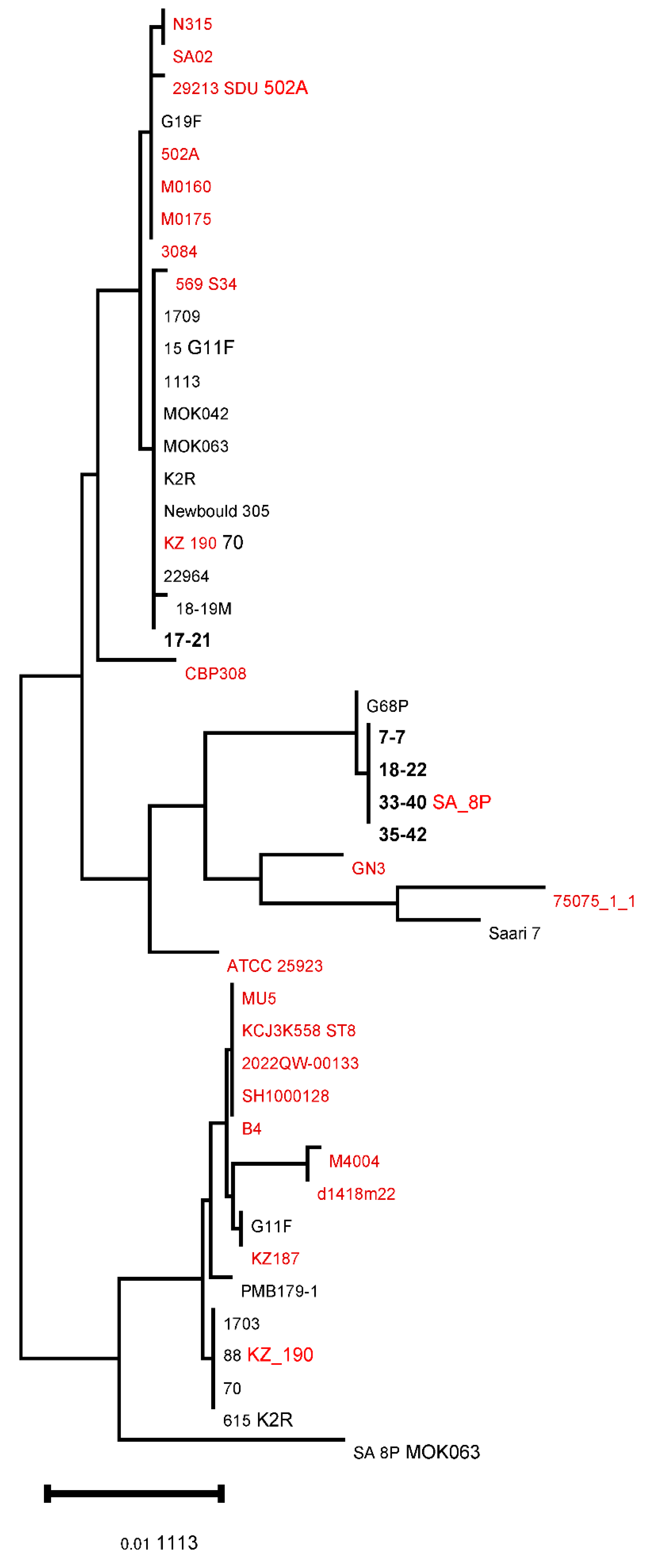 Genetic and Phenotypic Characteristics of Five Staphylococcus aureus ...