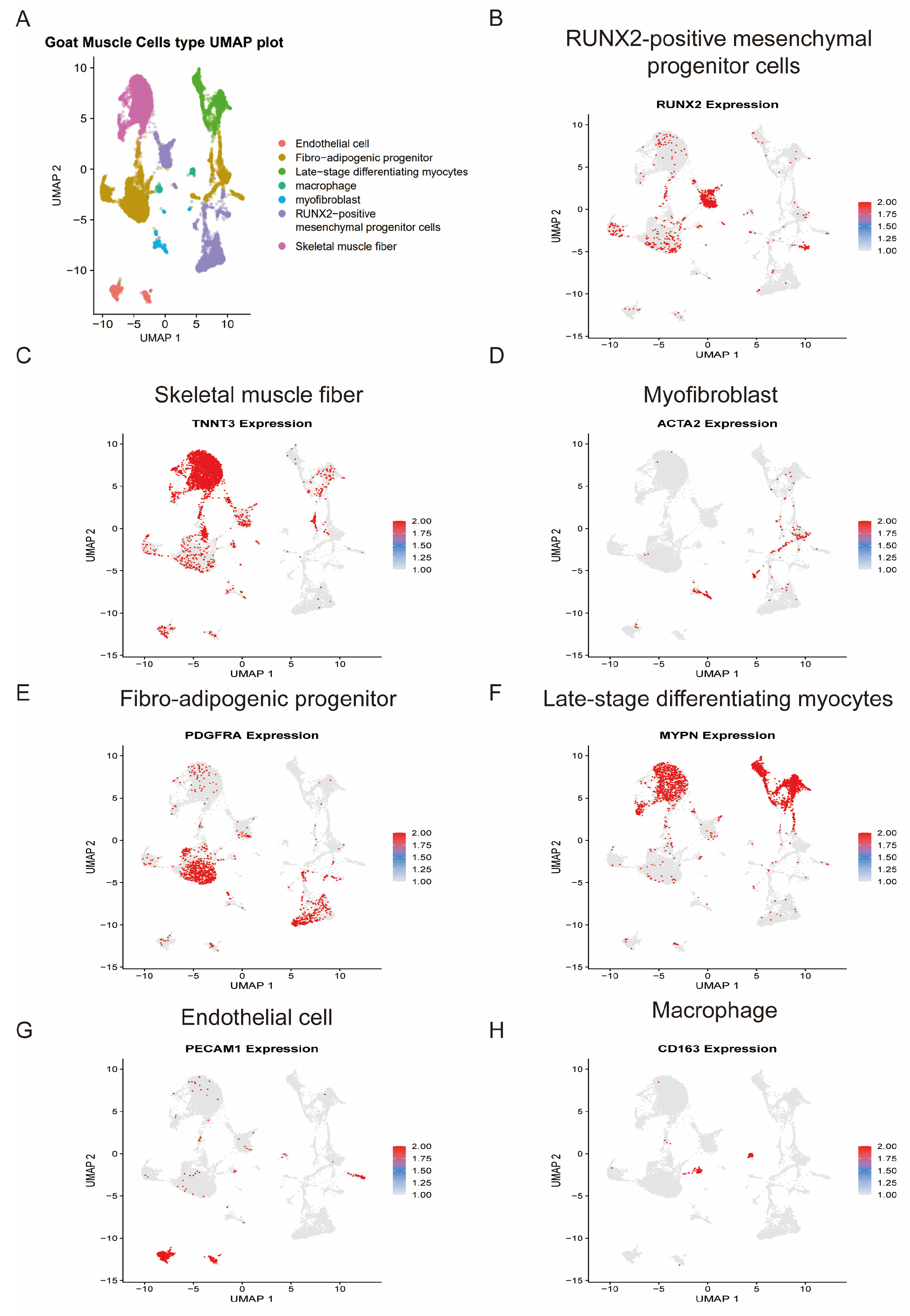 Single-Cell Transcriptomic Analysis Reveals Multicellular Coordination ...