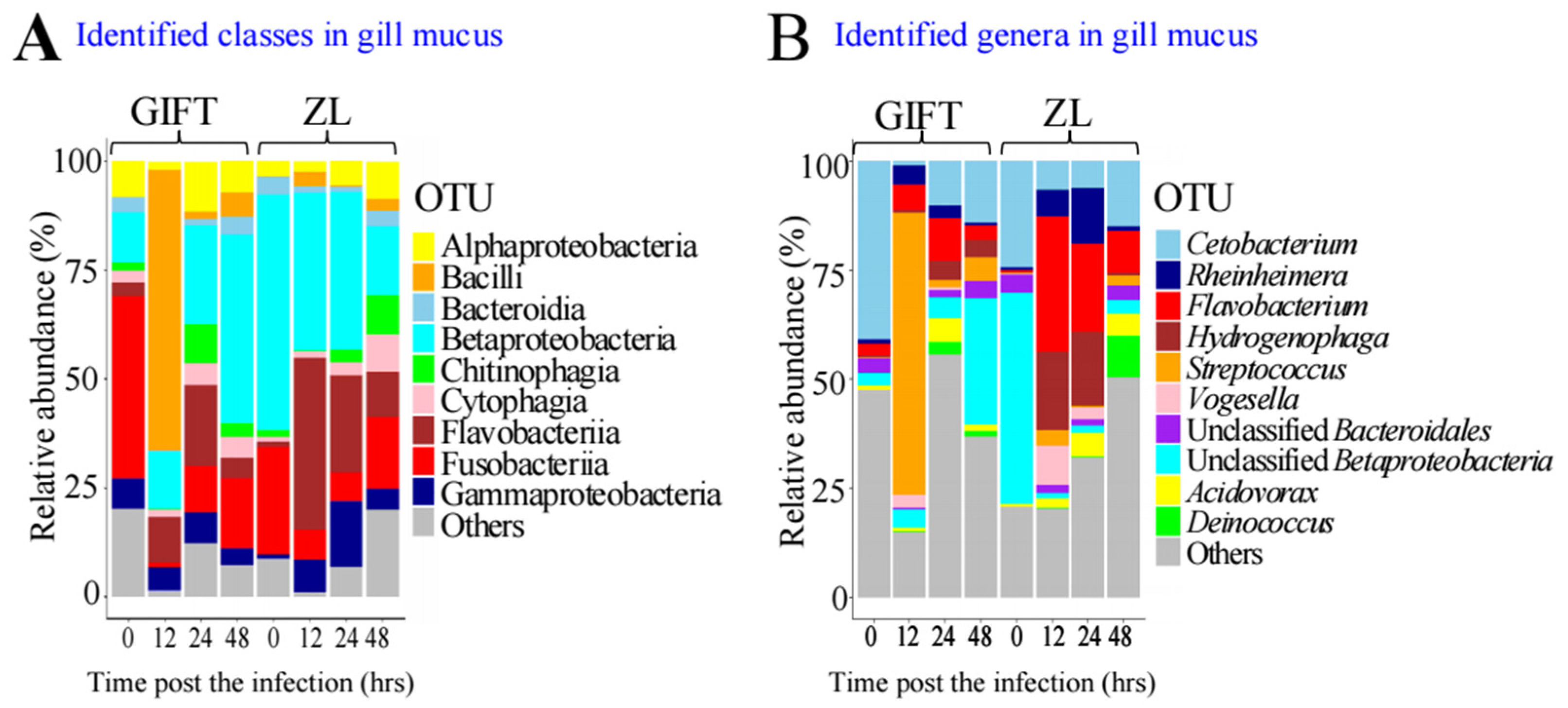 Identification of Association Between Mucus Microbiota and Gene ...