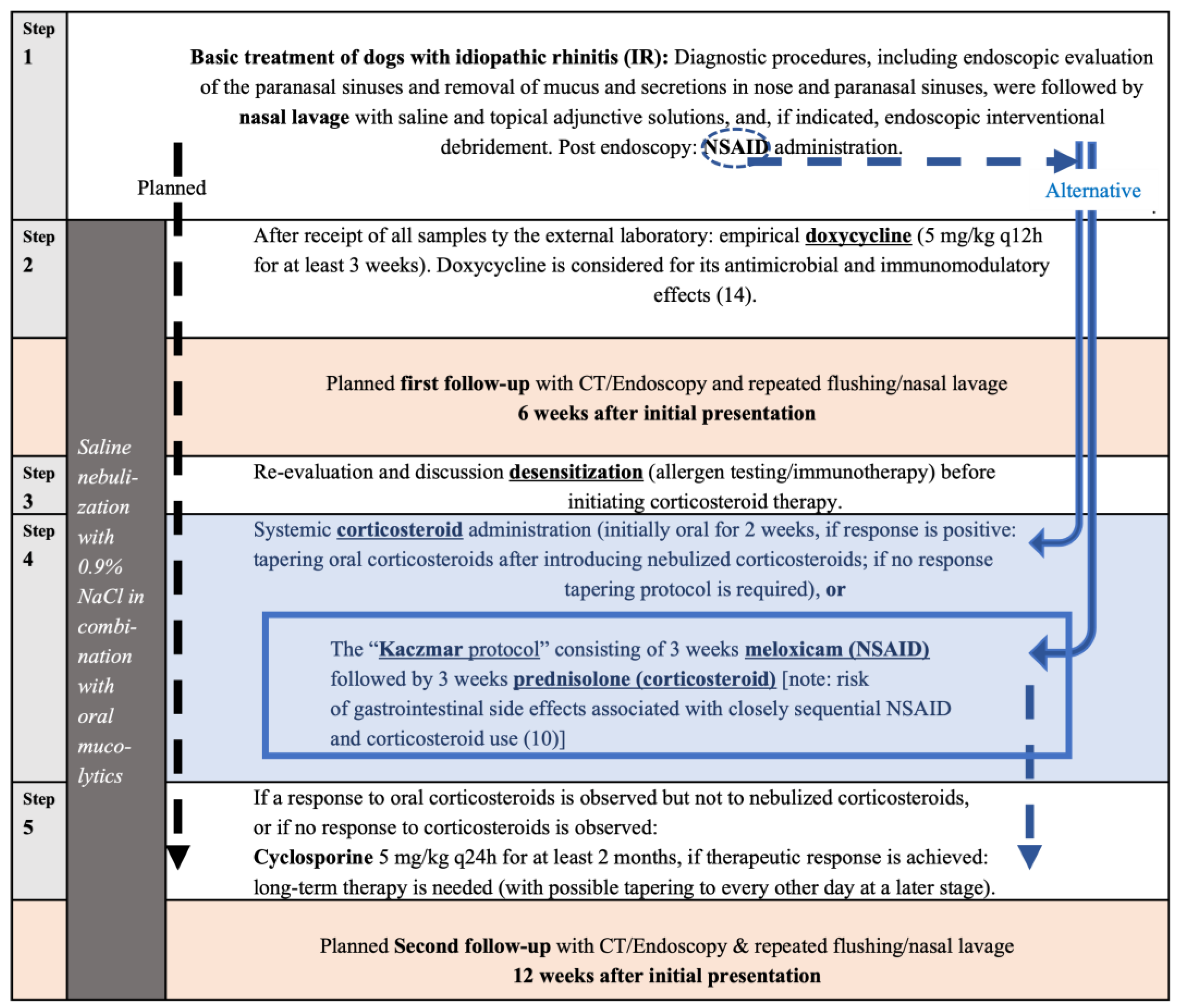 Insights into Canine Idiopathic Rhinitis from a Prospective Study: A ...