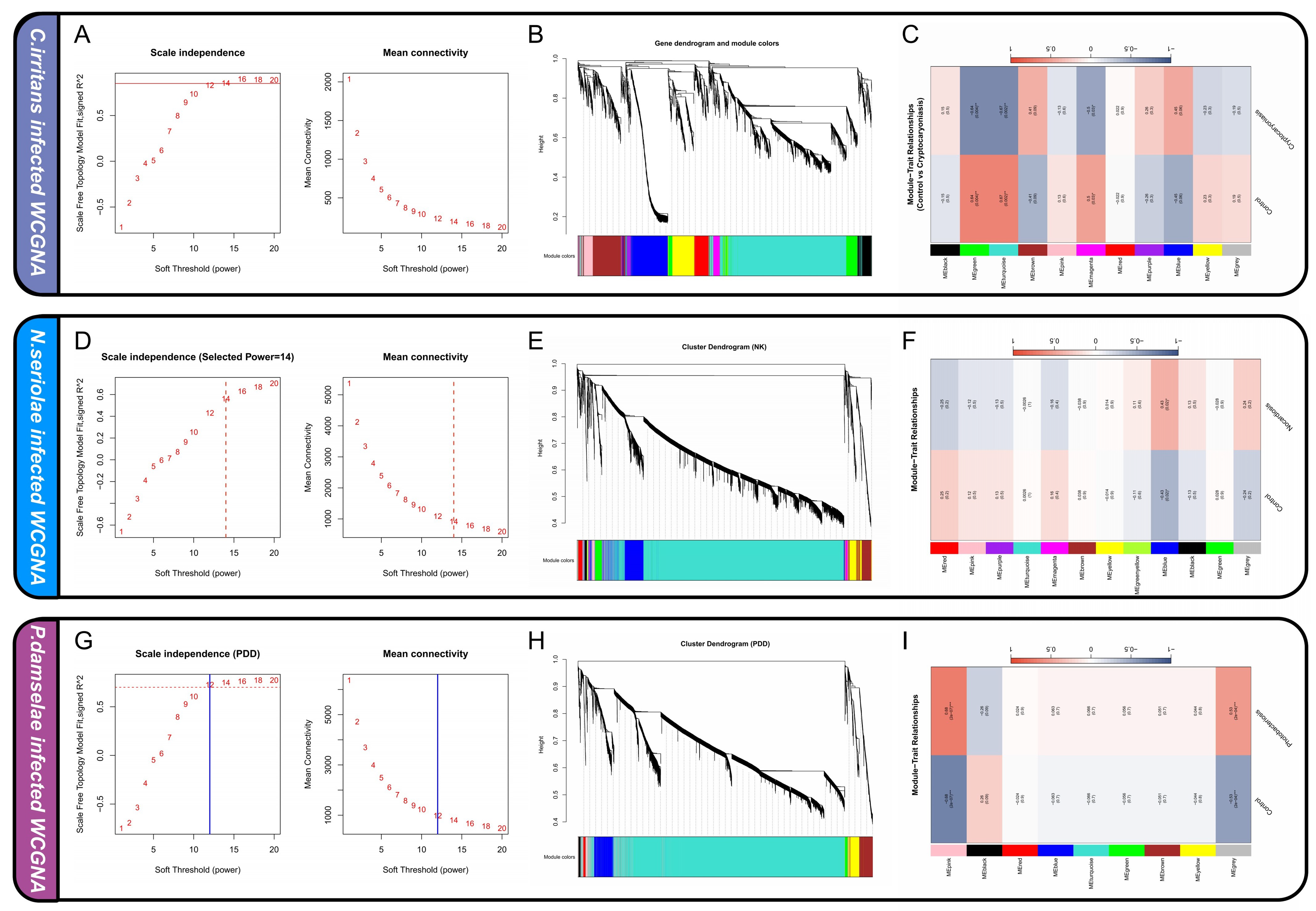 Transcriptomic Analysis and Machine Learning Identify Cross-Pathogen ...