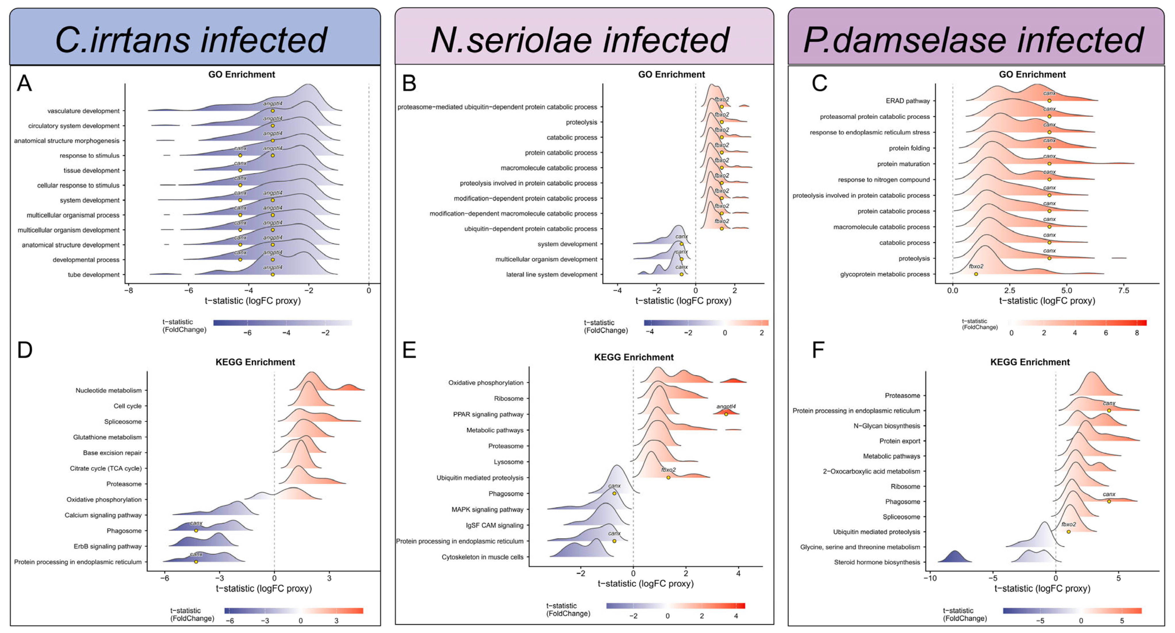 Transcriptomic Analysis and Machine Learning Identify Cross-Pathogen ...