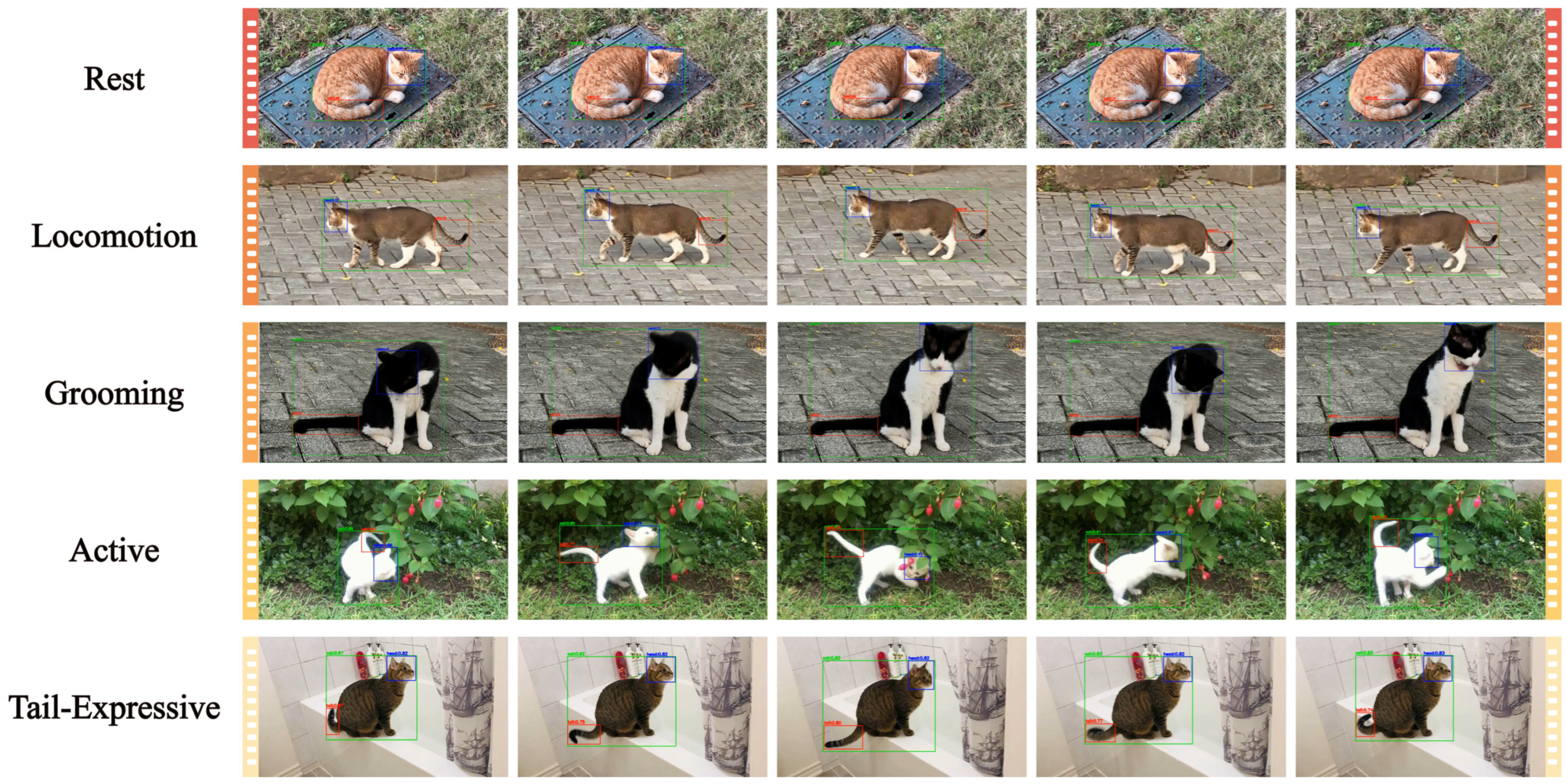 PMTNet: A Part-Centric Missing-Aware Temporal Network for Cat Behavior ...