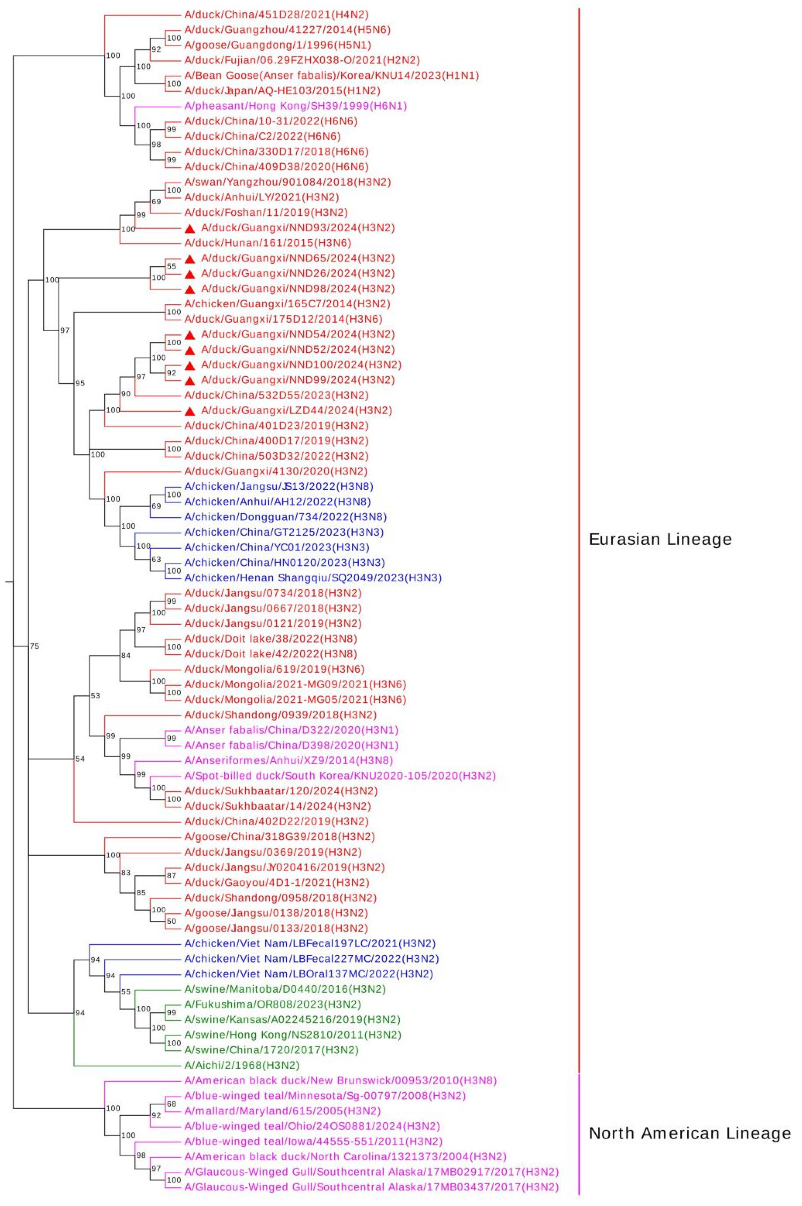 Emergence of Novel Reassortant H3N2 Avian Influenza Viruses in Southern ...