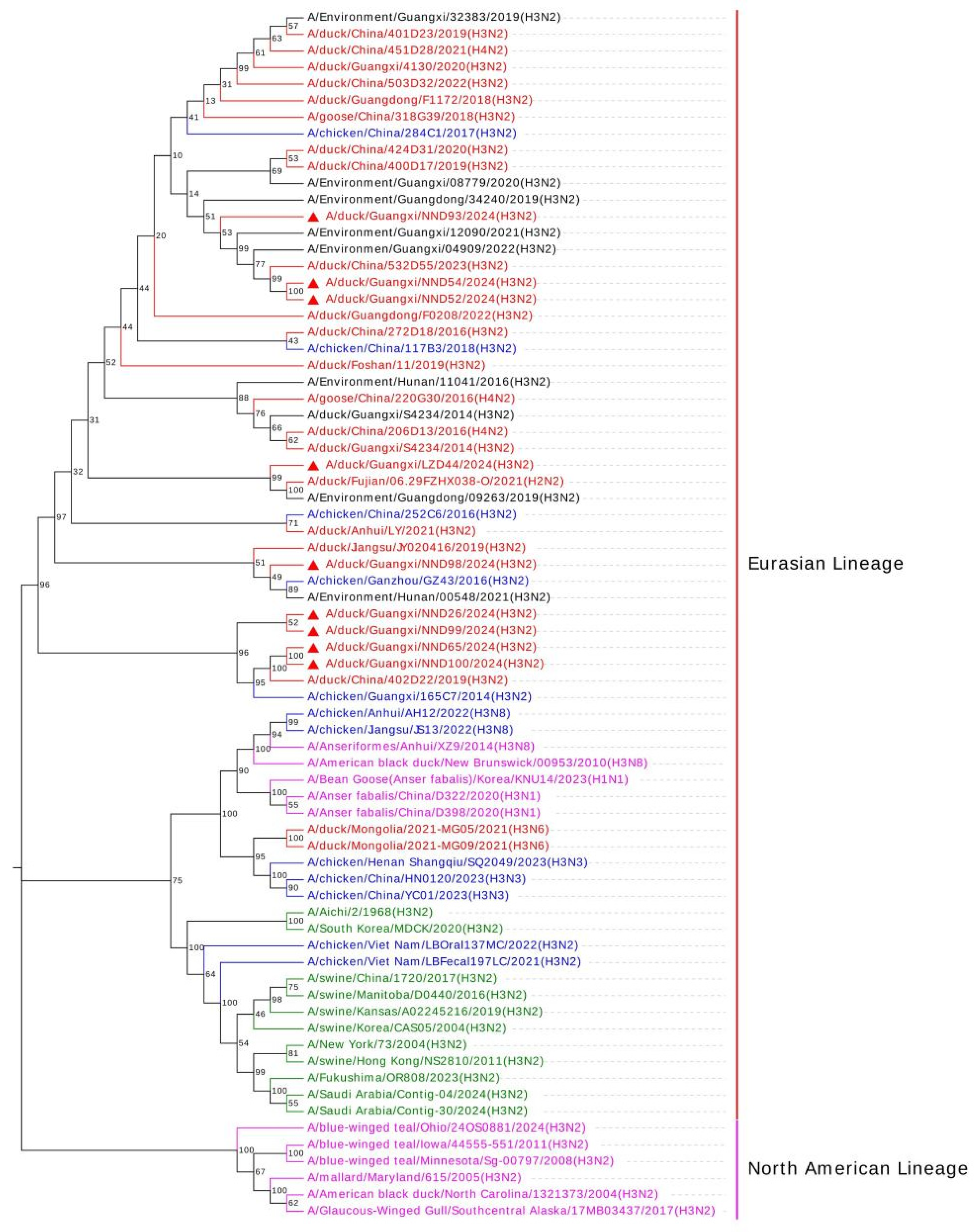Emergence of Novel Reassortant H3N2 Avian Influenza Viruses in Southern ...