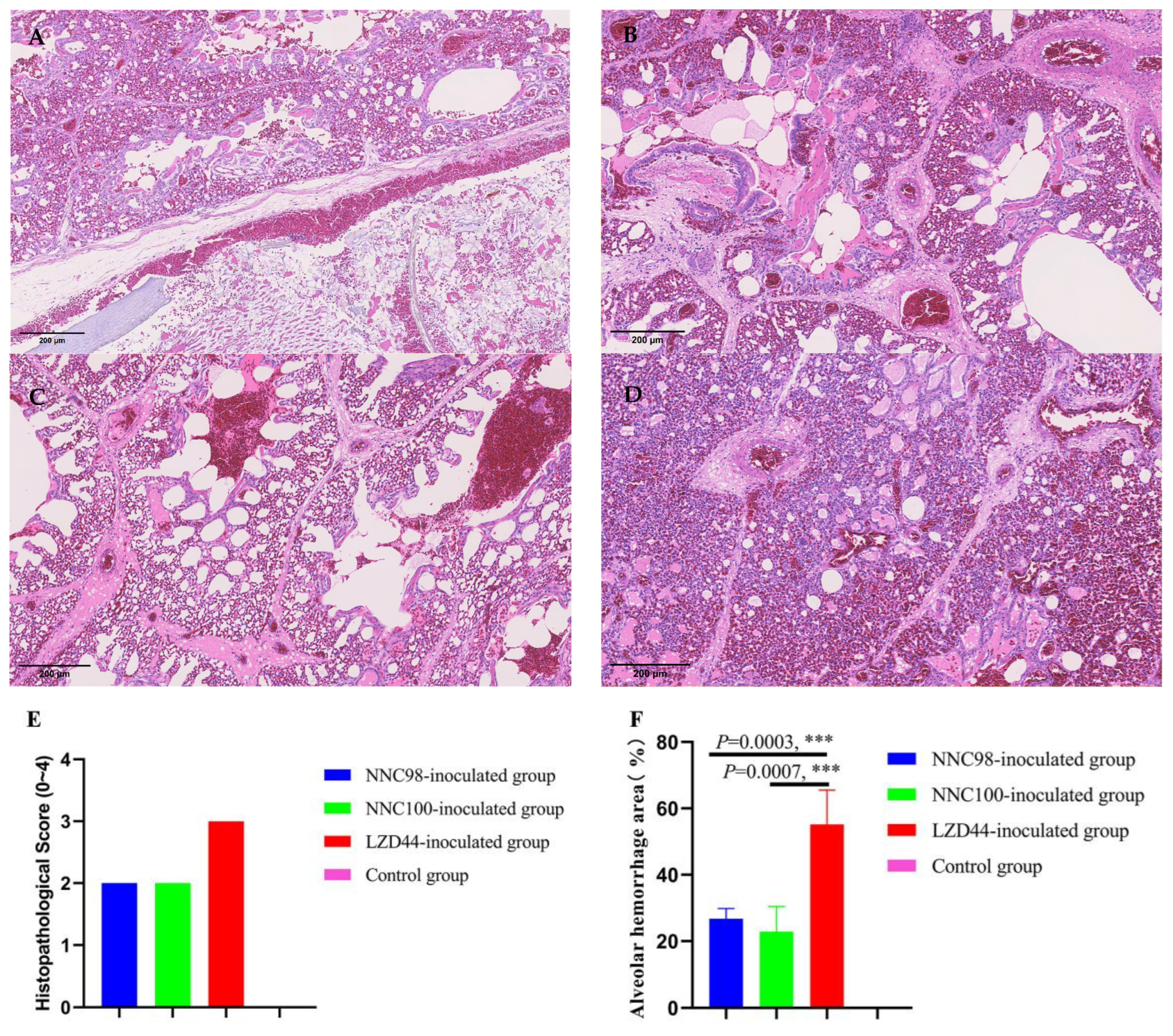 Emergence of Novel Reassortant H3N2 Avian Influenza Viruses in Southern ...