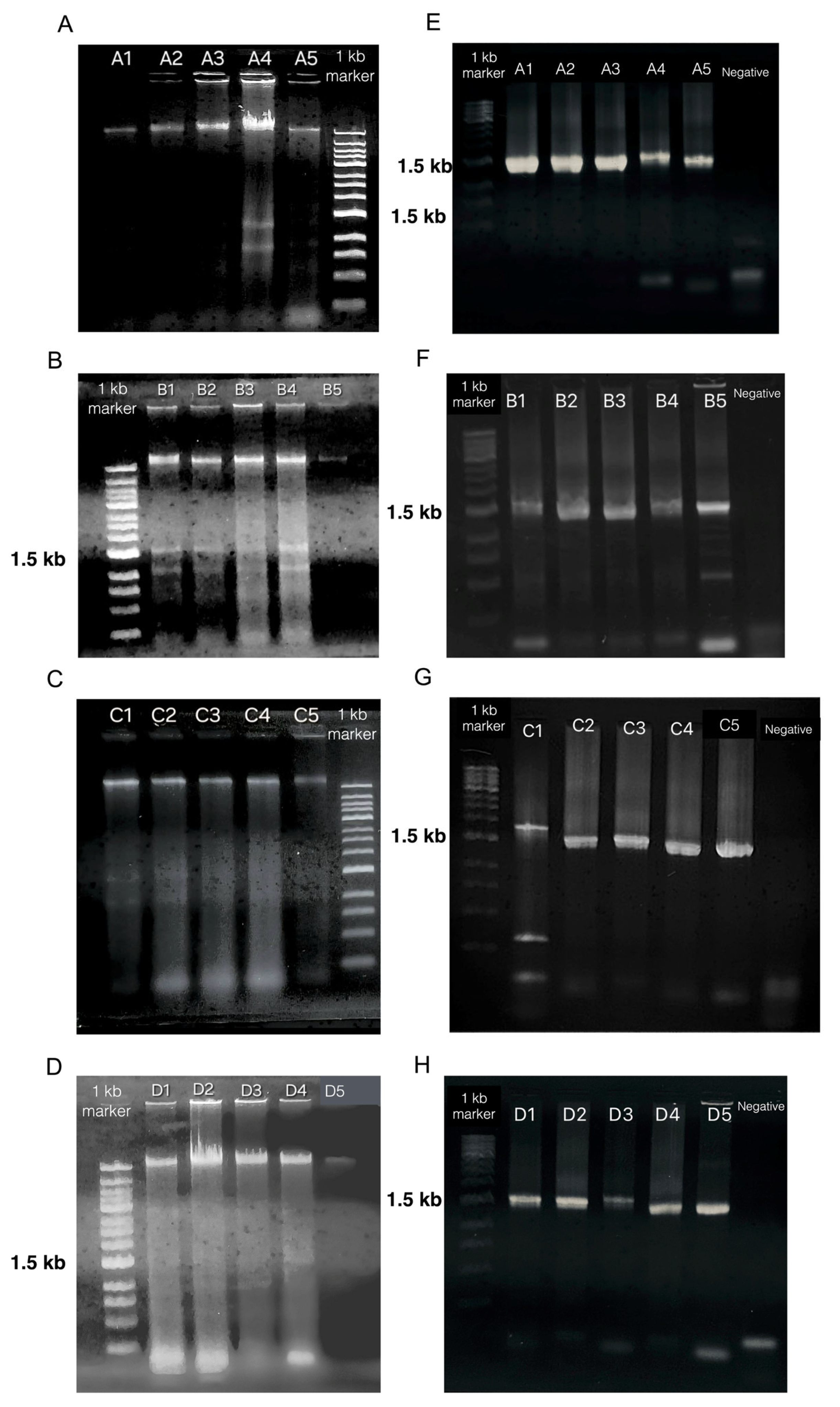 Characterization Of The Oral Microbiome And Anticipated Functional Characterization Of The Oral Microbiome And Anticipated Functional