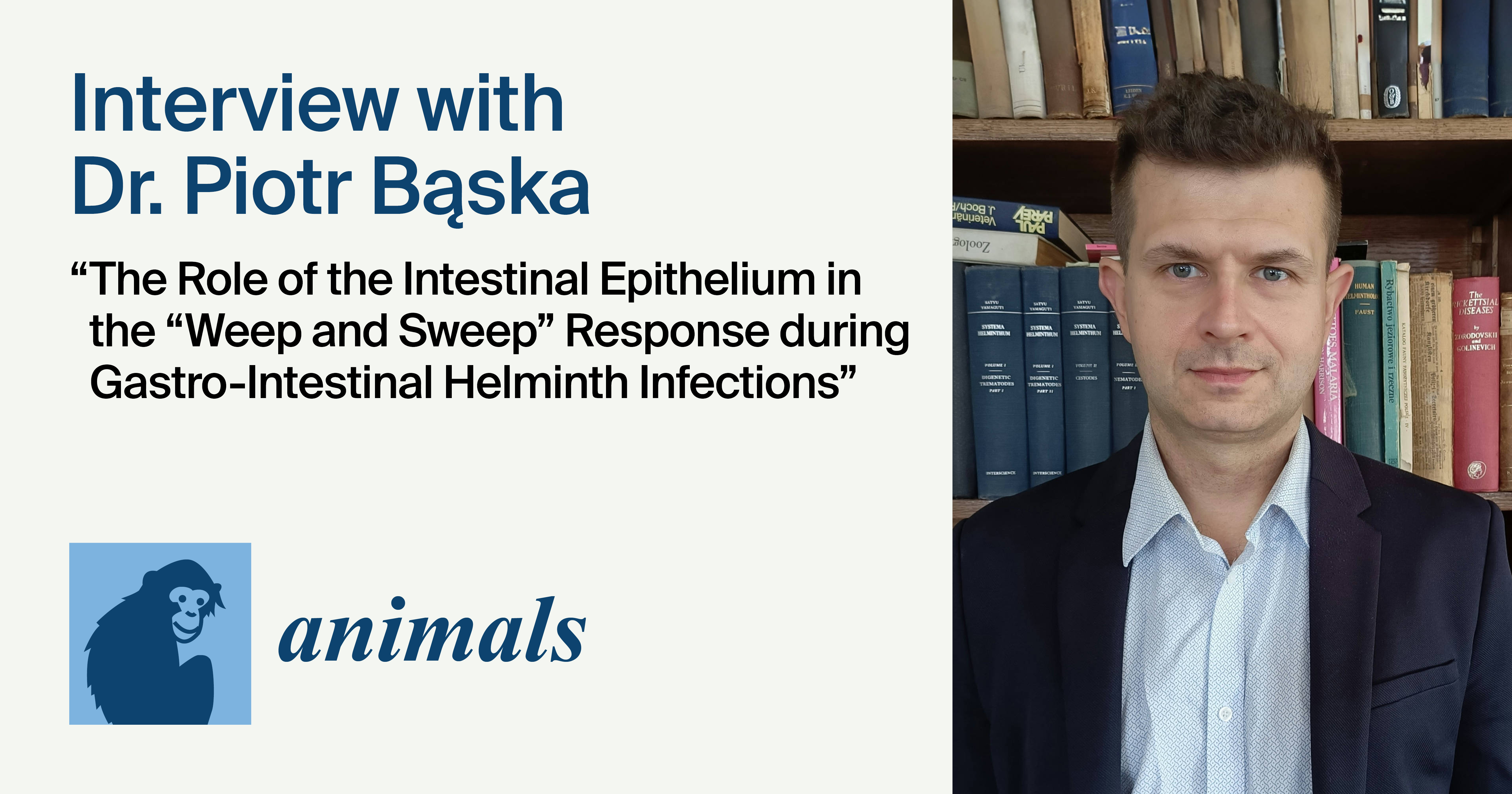 <strong><em>Animals</em> | Interview with the Author—Dr. Piotr Bąska</strong>