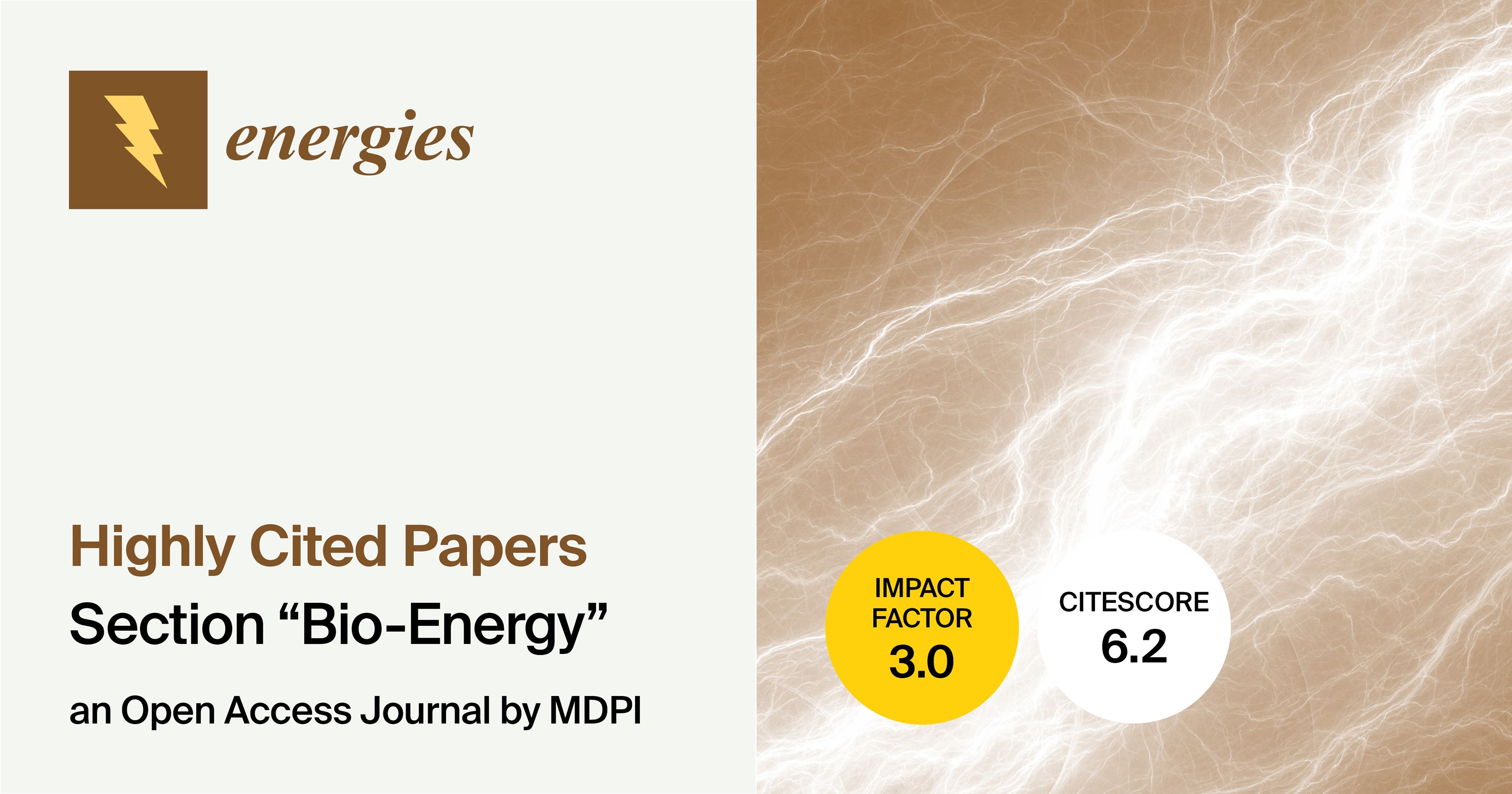 <strong><em>Energies</em></strong><strong> | Highly Cited Papers Published in 2024 in the Section “Bio-Energy”</strong>