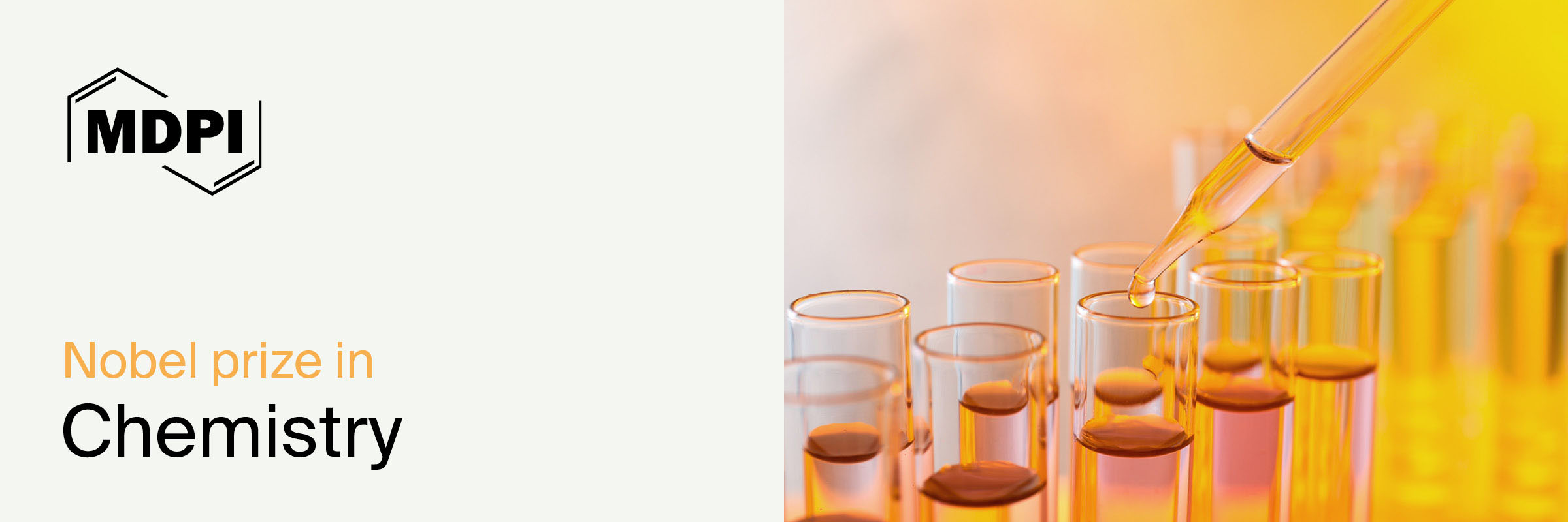 <strong>Nobel Prize in Chemistry — The Science Behind the Prize</strong>