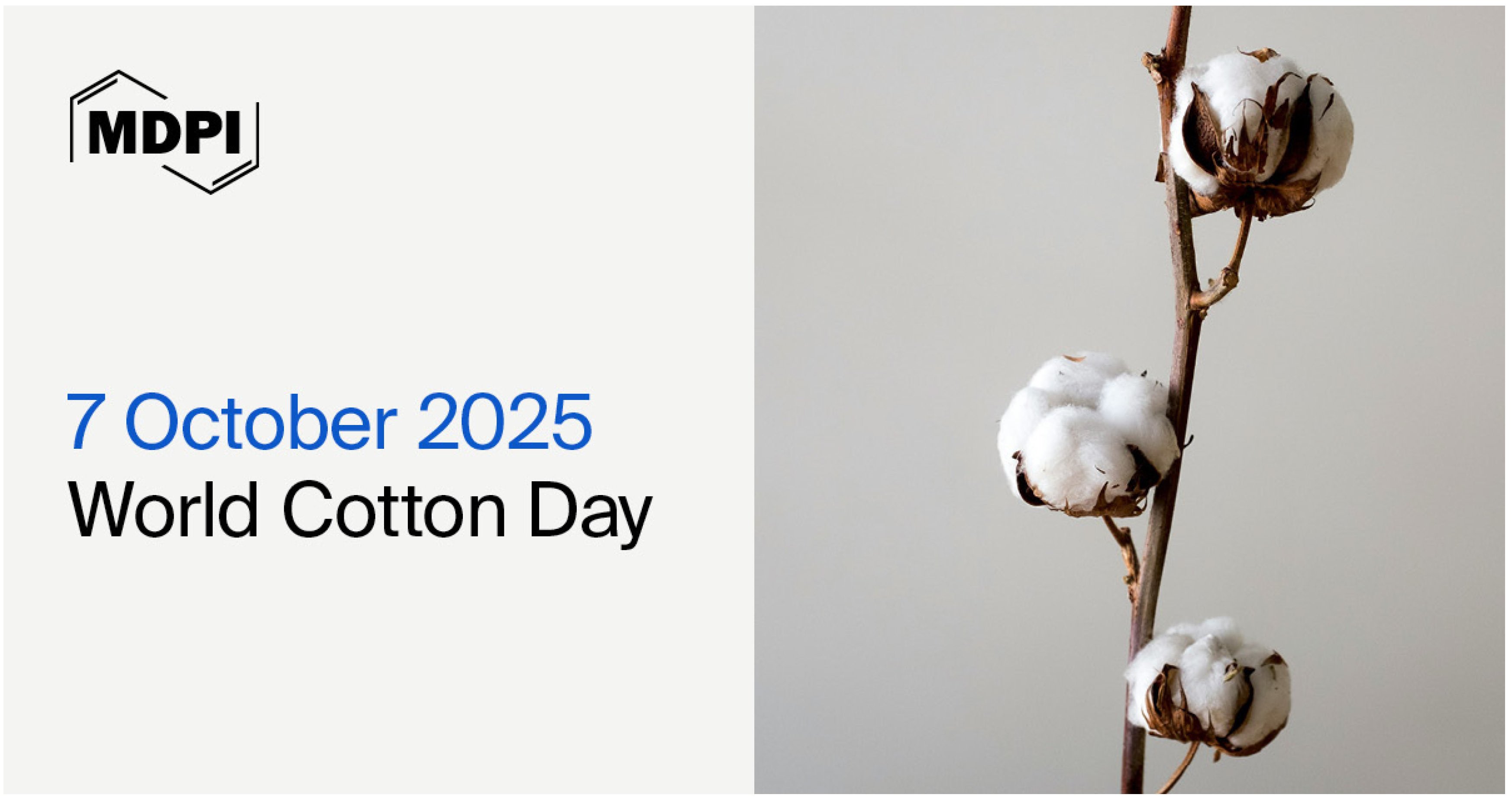 World Cotton Day, 7 October 2025