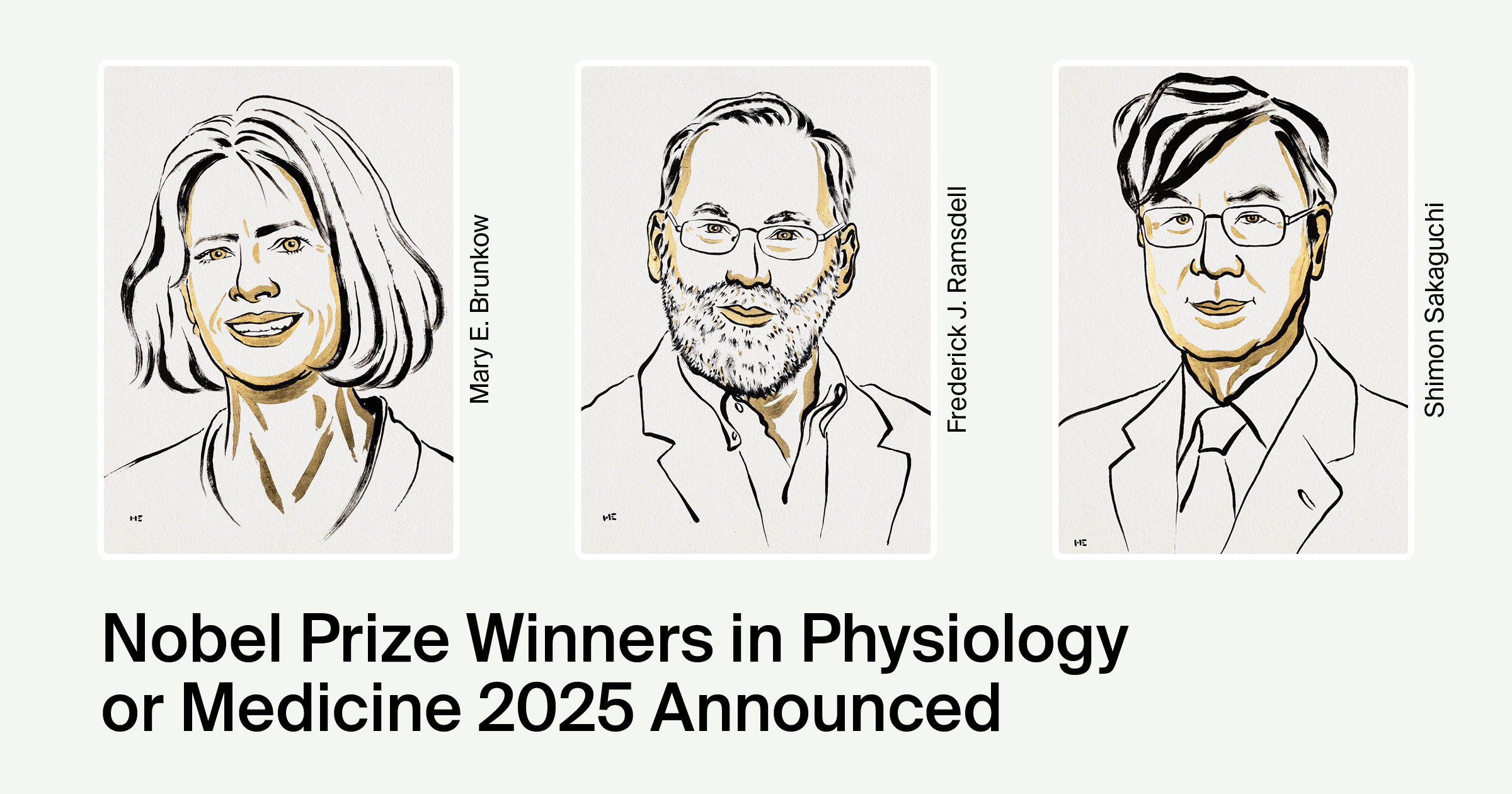 <strong>Nobel Prize in Medicine 2025 Awarded for Discoveries on Immune System Regulation</strong>