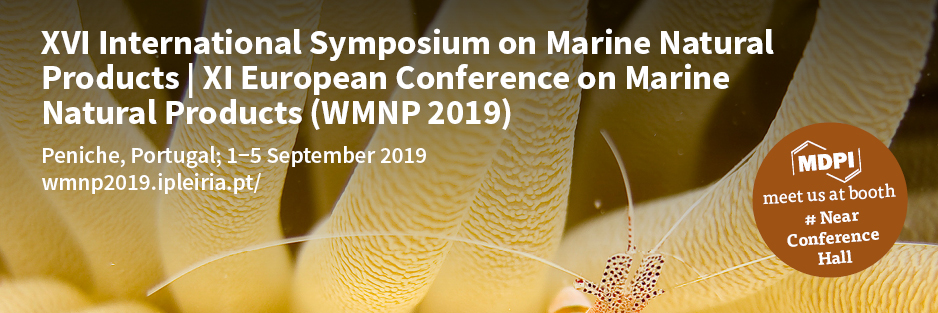 <strong>Meet Us at WMNP 2019 in Peniche, Portugal, 1–5 September 2019</strong>