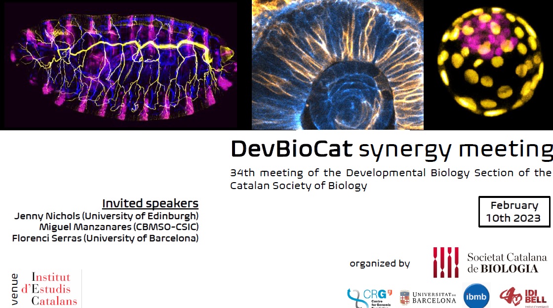 Media Partnership between <em>Genes</em> and the 34th Meeting of the Developmental Biology Section of the Catalan Society of Biology
