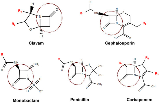 General mechanism of β-lactamase inhibitors. (A) Acylation of... | Download  Scientific Diagram