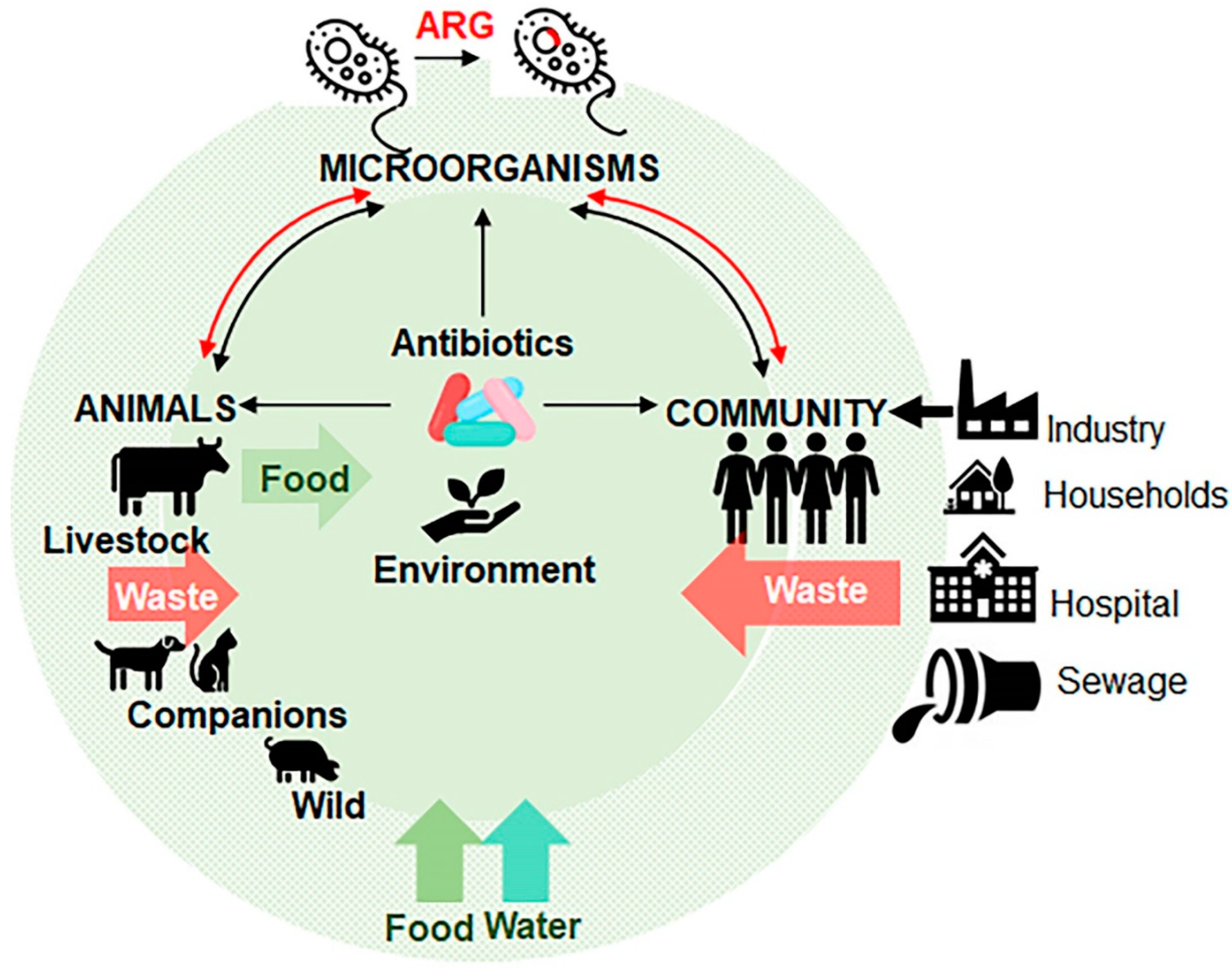Antibiotics | Free Full-Text | Antibiotics in Food Chain: The Consequences  for Antibiotic Resistance