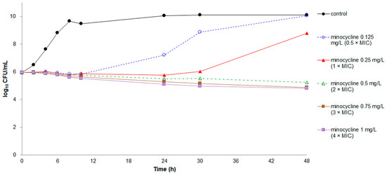 Amoxicillin Minocycline 50 Mg