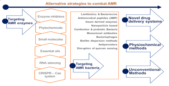 Natural Products as Platforms To Overcome Antibiotic Resistance