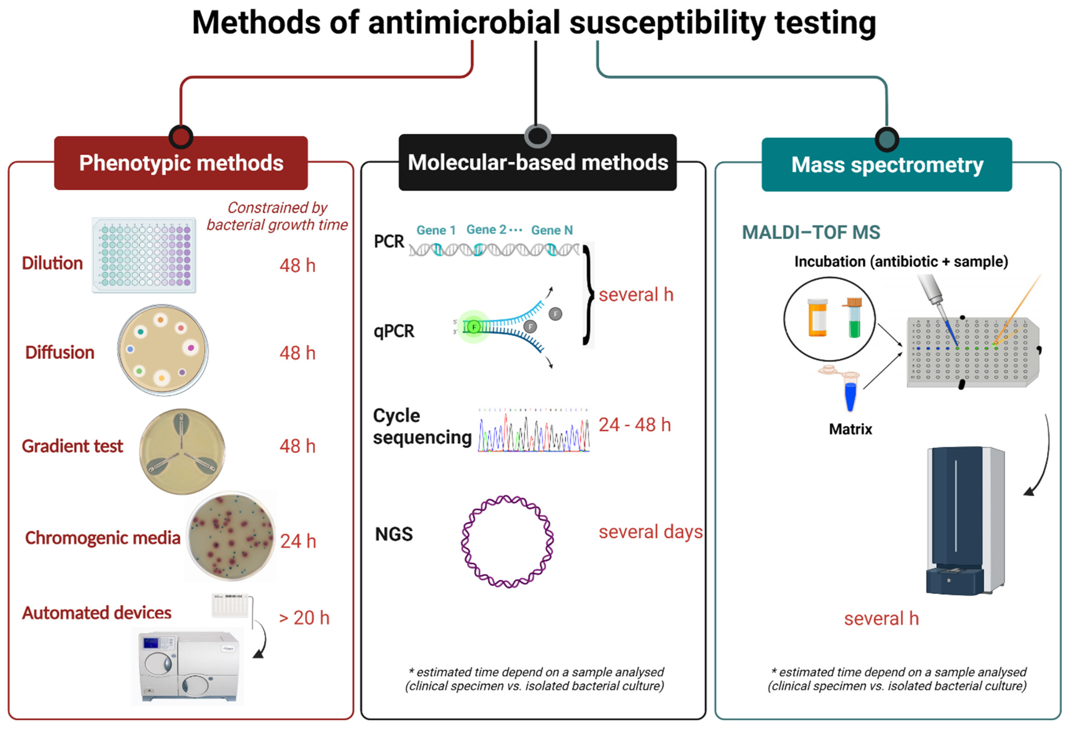 Antibiotics | Free Full-Text | Antimicrobial Susceptibility Testing: A  Comprehensive Review of Currently Used Methods